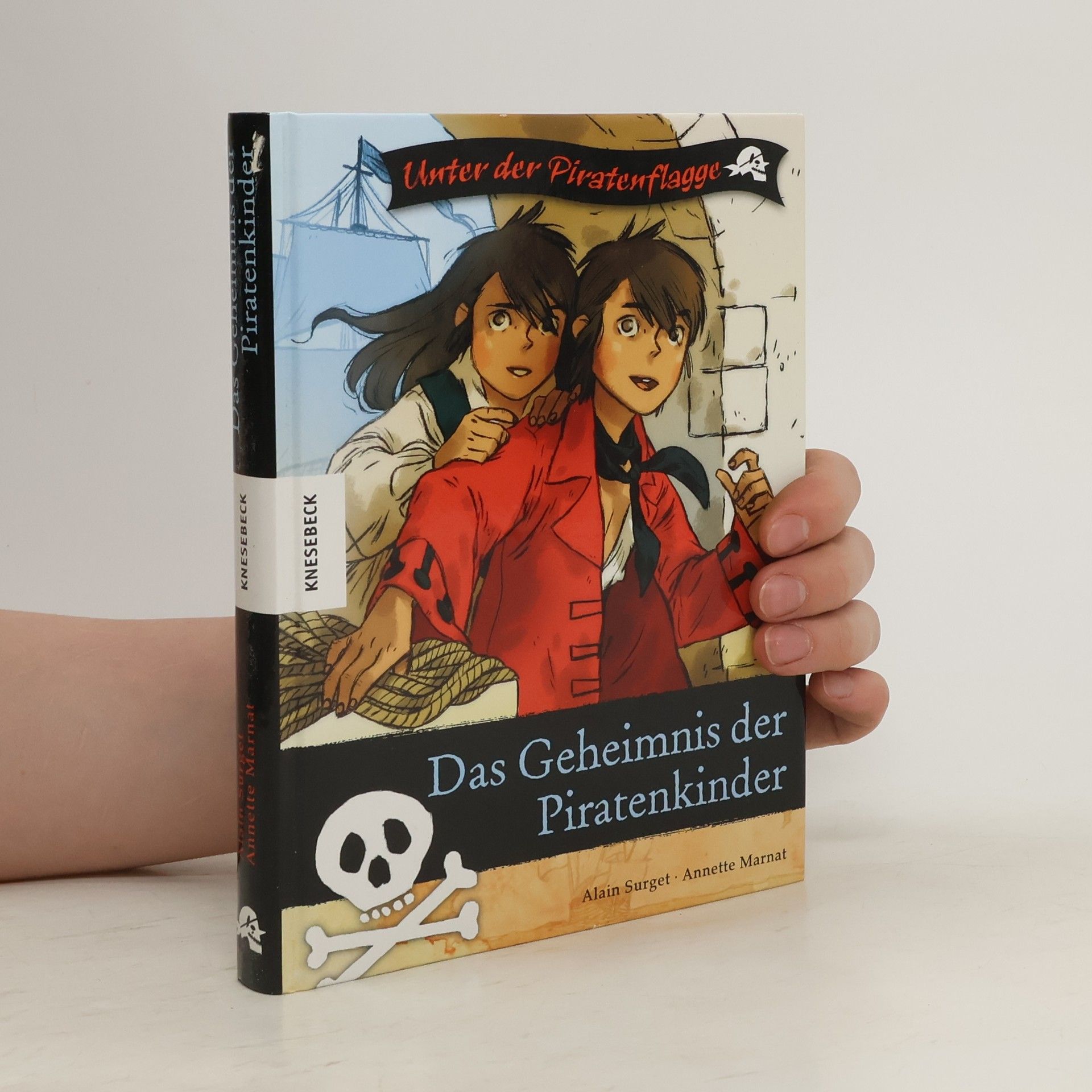 Alain Surget Das Geheimnis der Piratenkinder