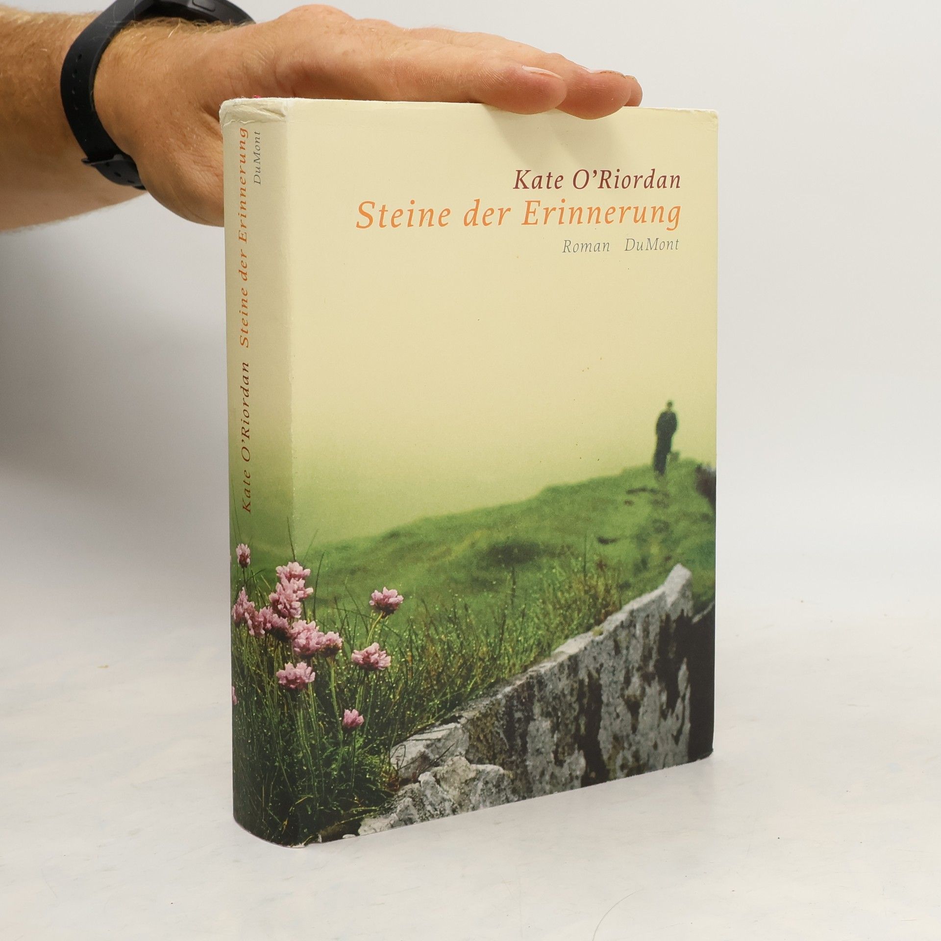Kate O. Riordan Steine der Erinnerung