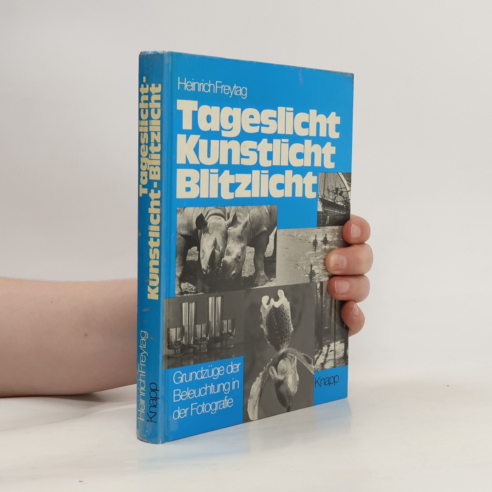 Heinrich Freytag Tageslicht, Kunstlicht, Blitzlicht