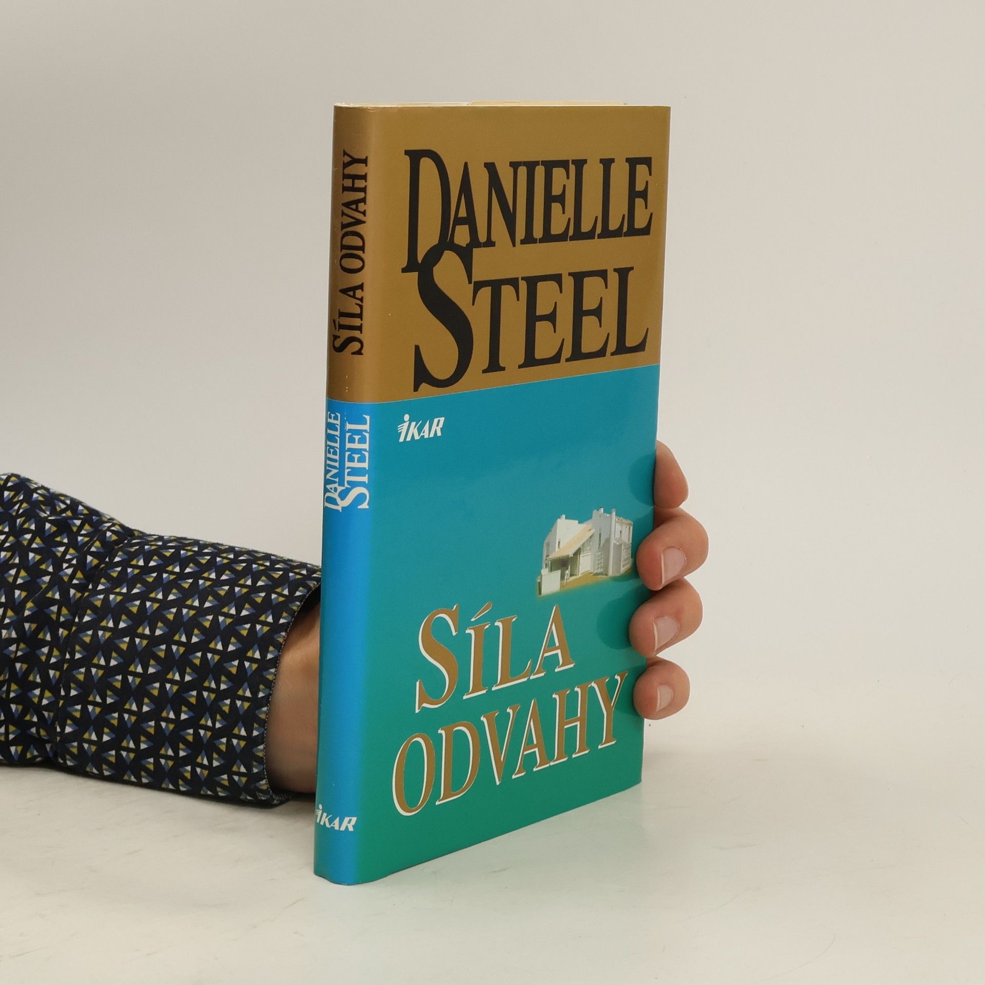 Danielle Steel Síla odvahy