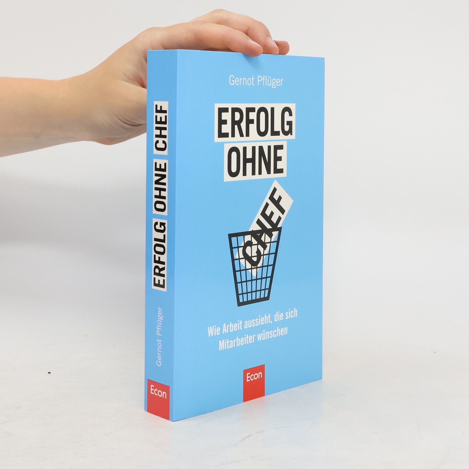 Gernot Pflüger Erfolg ohne Chef