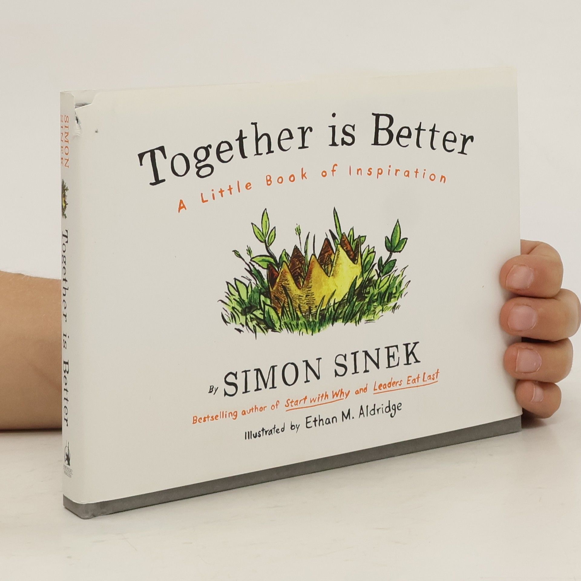 Simon Sinek Together is better : a little book of inspiration