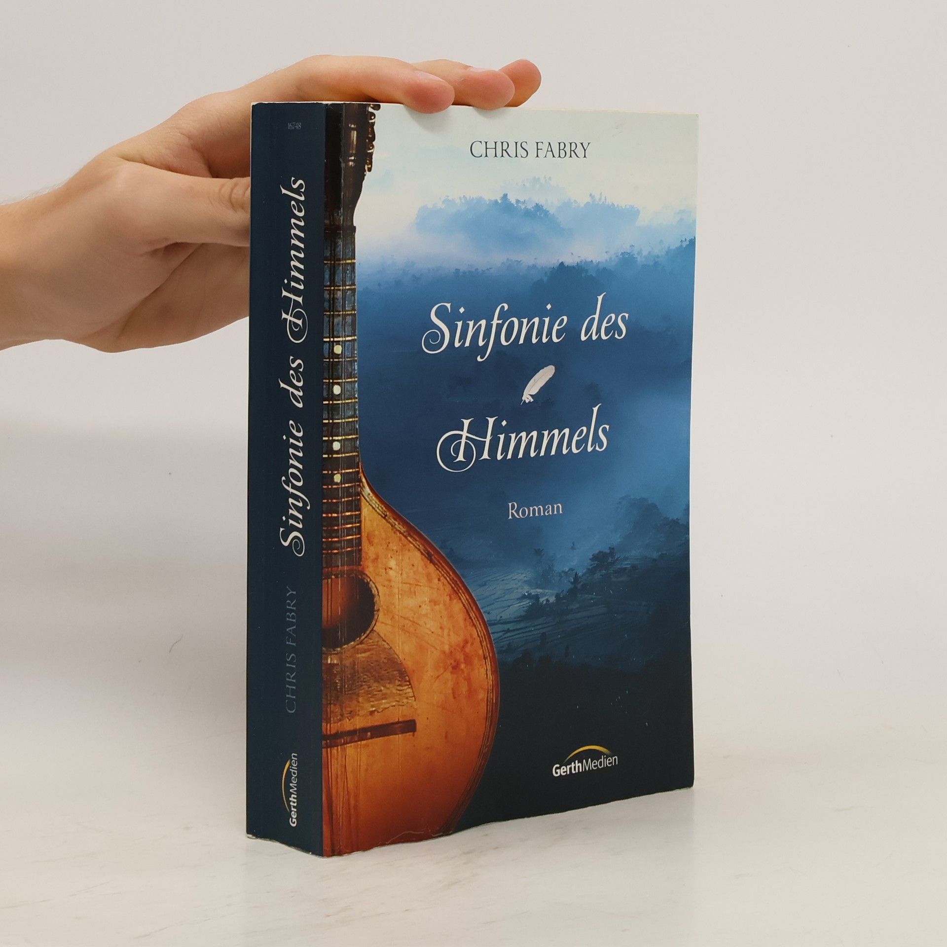 Chris Fabry Sinfonie des Himmels