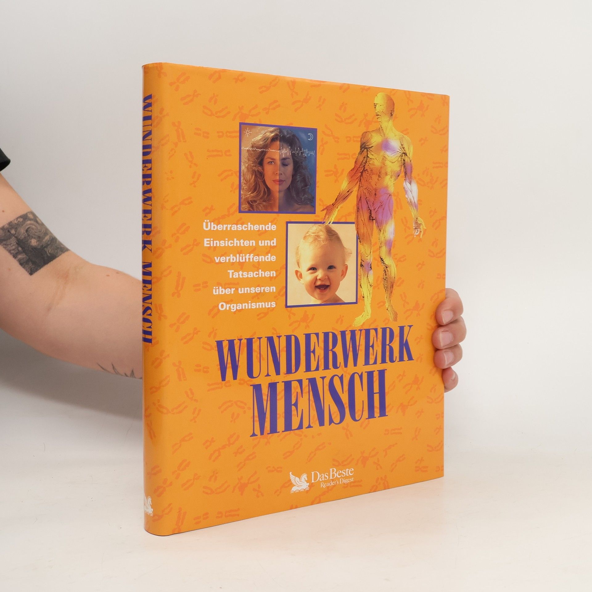 Annette Adams Wunderwerk Mensch