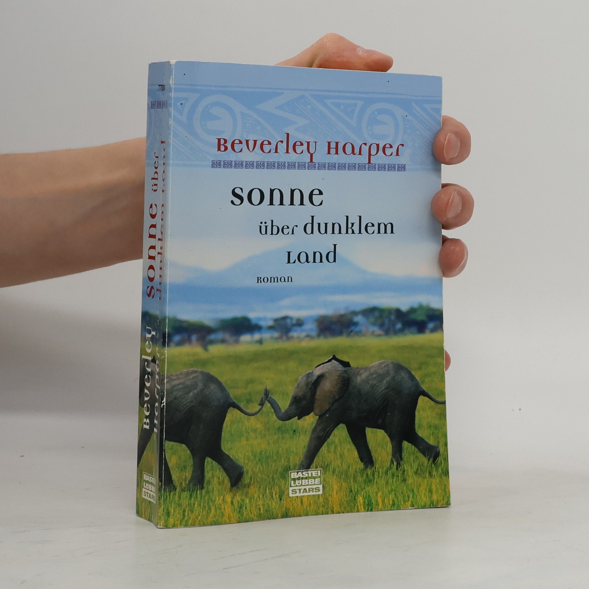 Beverley Harper Sonne über dunklem Land