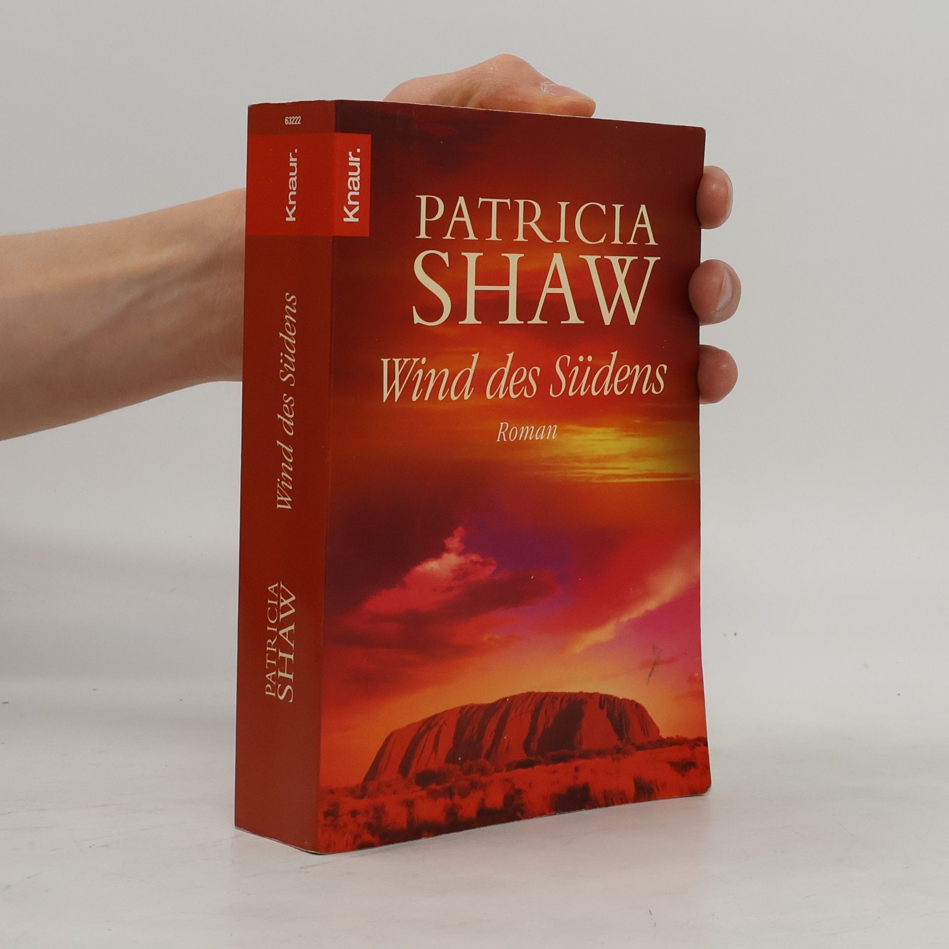 Patricia Shaw Wind des Südens