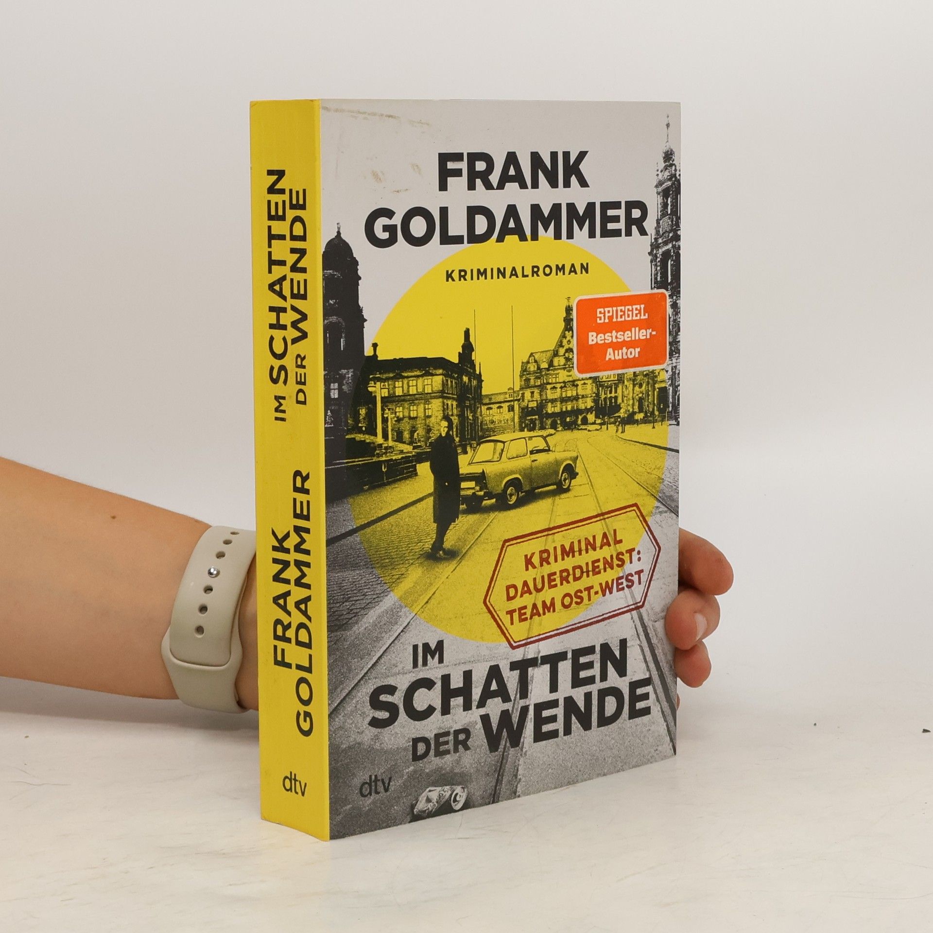 Frank Goldammer Im Schatten der Wende