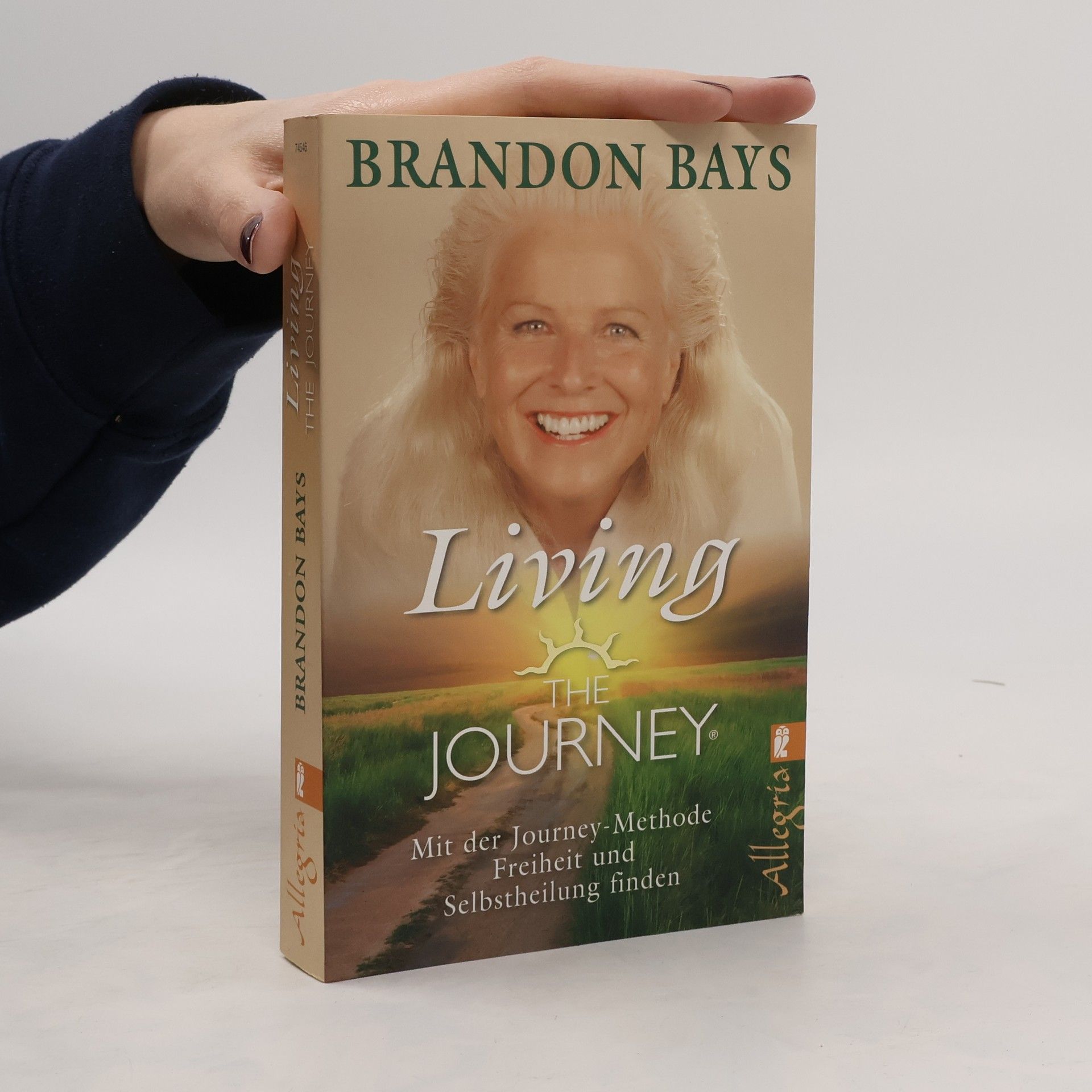 Brandon Bays Living the Journey