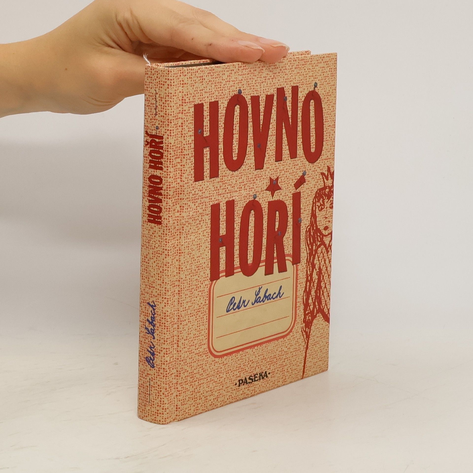 Petr Šabach Hovno hoří