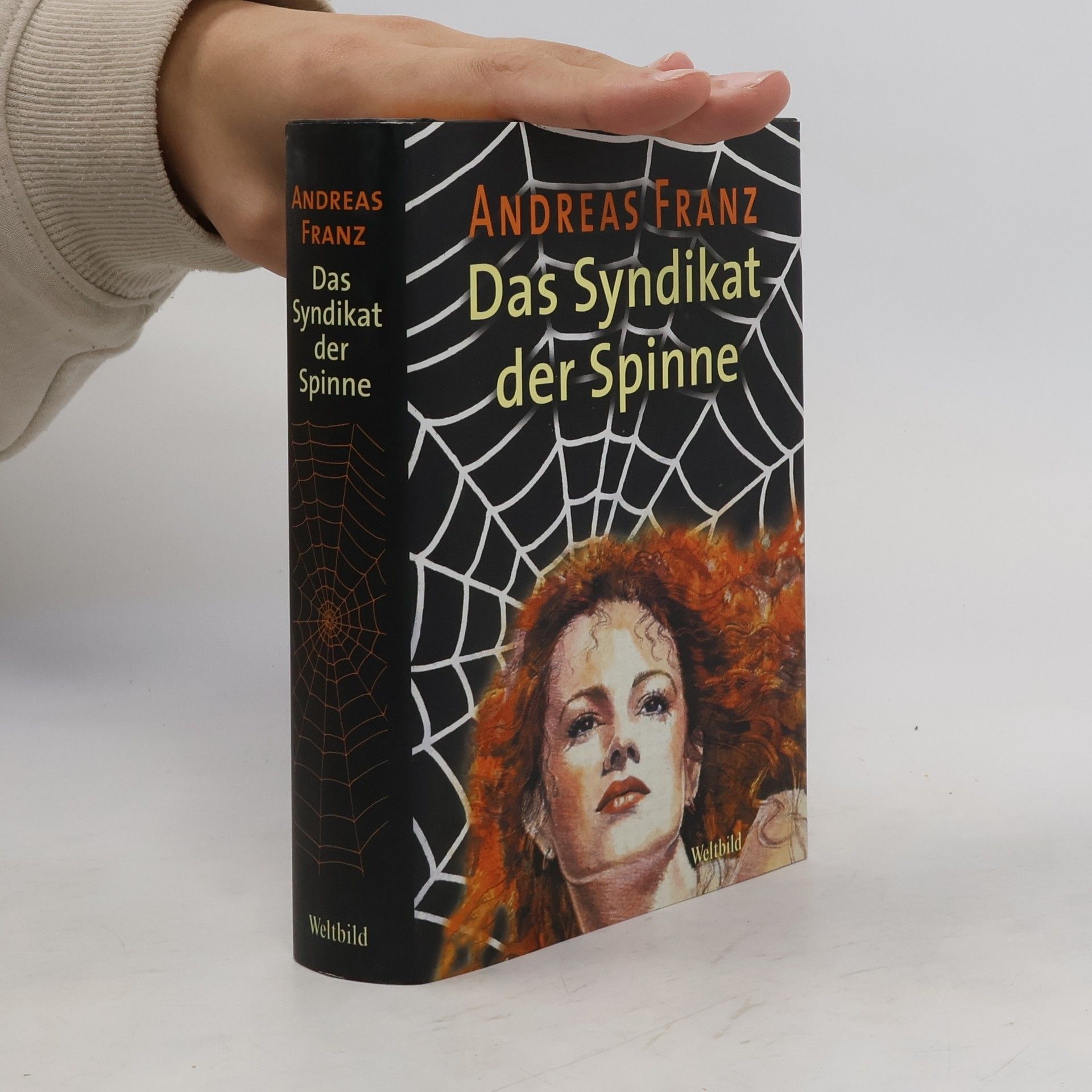 Andreas Franz Das Syndikat der Spinne
