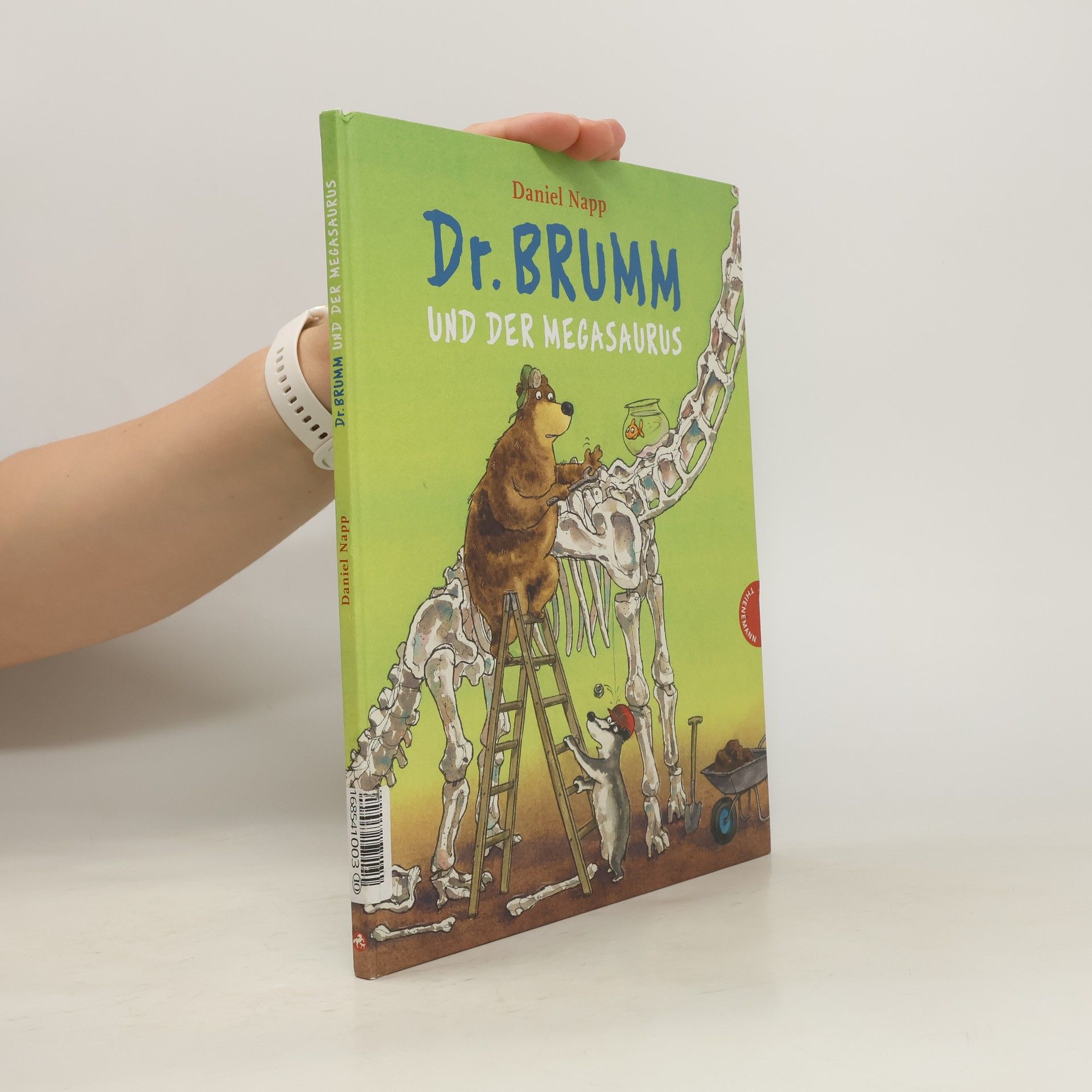 Daniel Napp Dr. Brumm und der Megasaurus