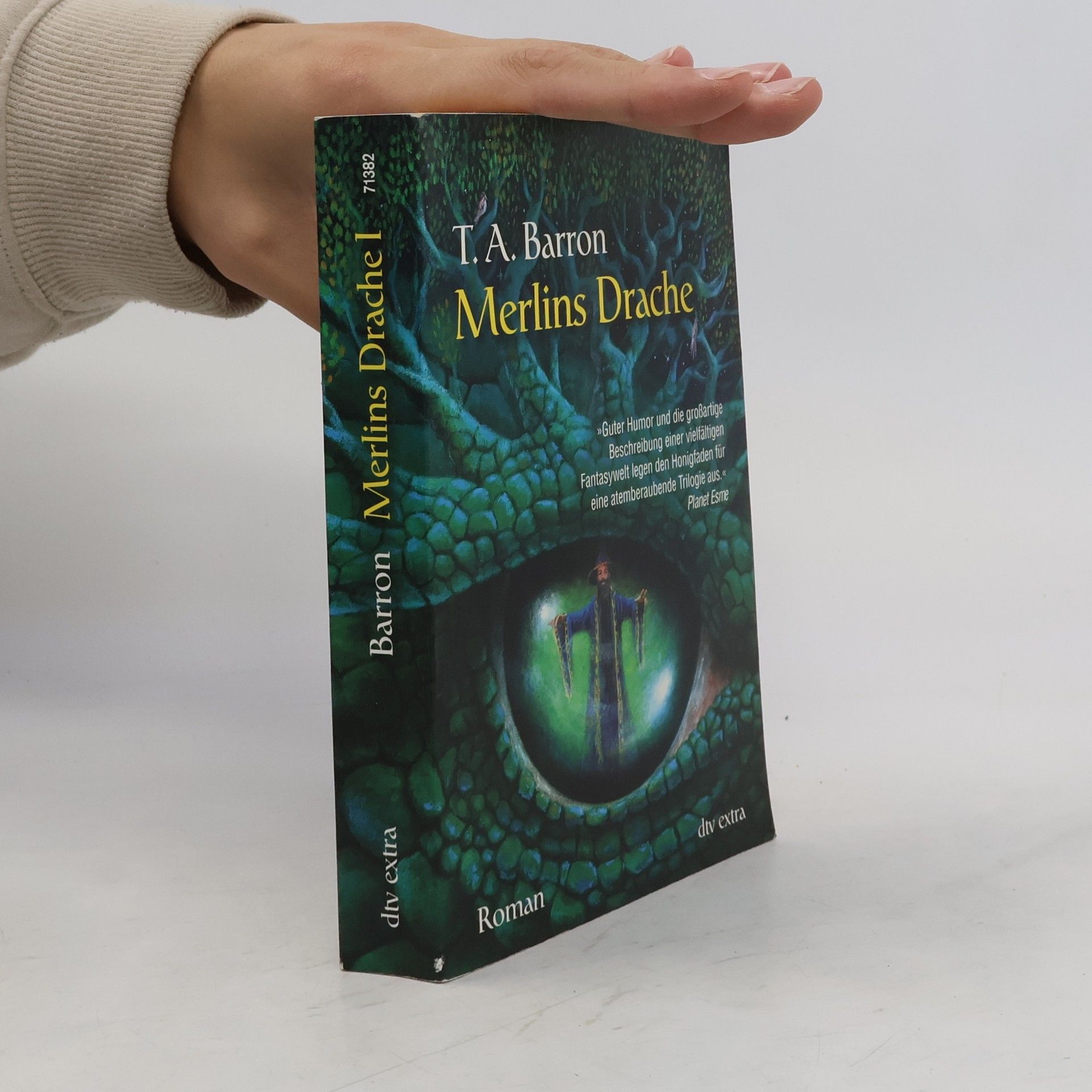 T. A. Barron Merlins Drache 1