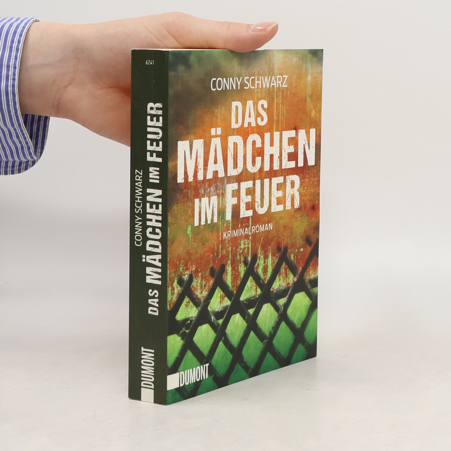 Conny Schwarz Das Mädchen im Feuer