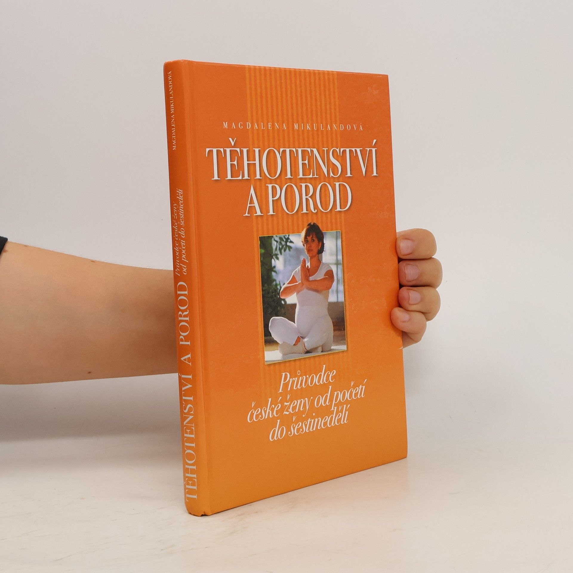 Magdalena Mikulandová Těhotenství a porod. Průvodce české ženy od početí do šestinedělí