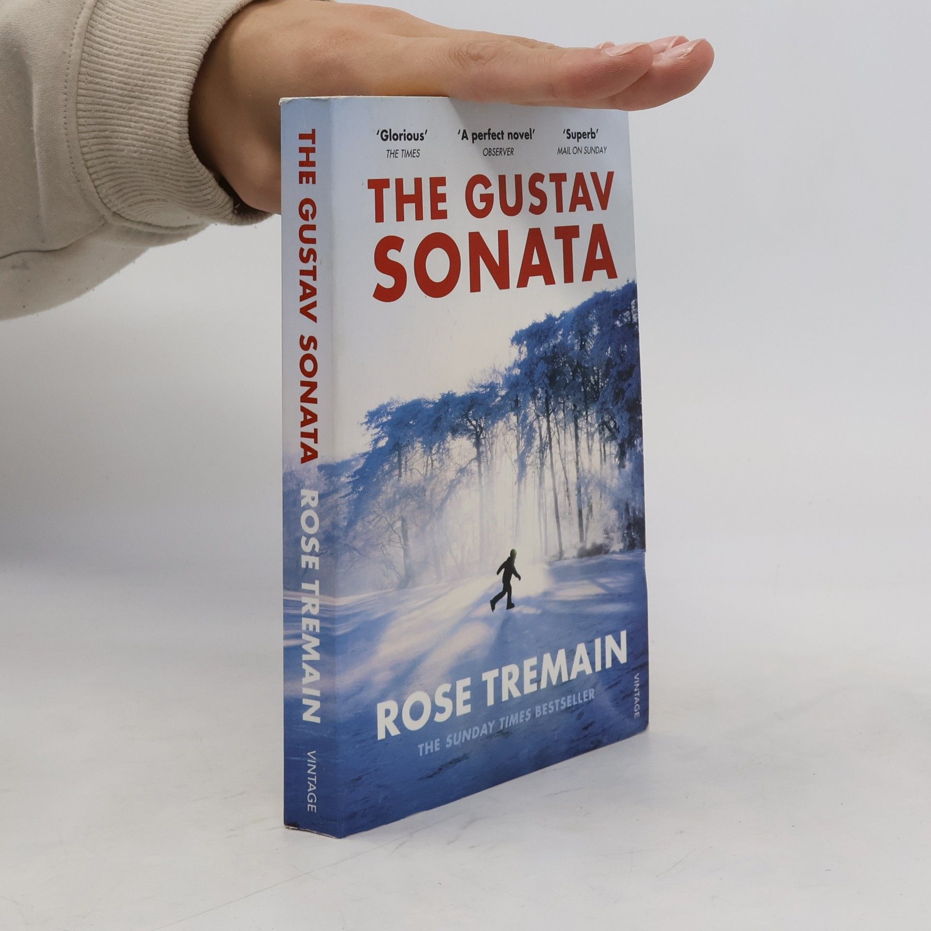 Rose Tremain The Gustav Sonata