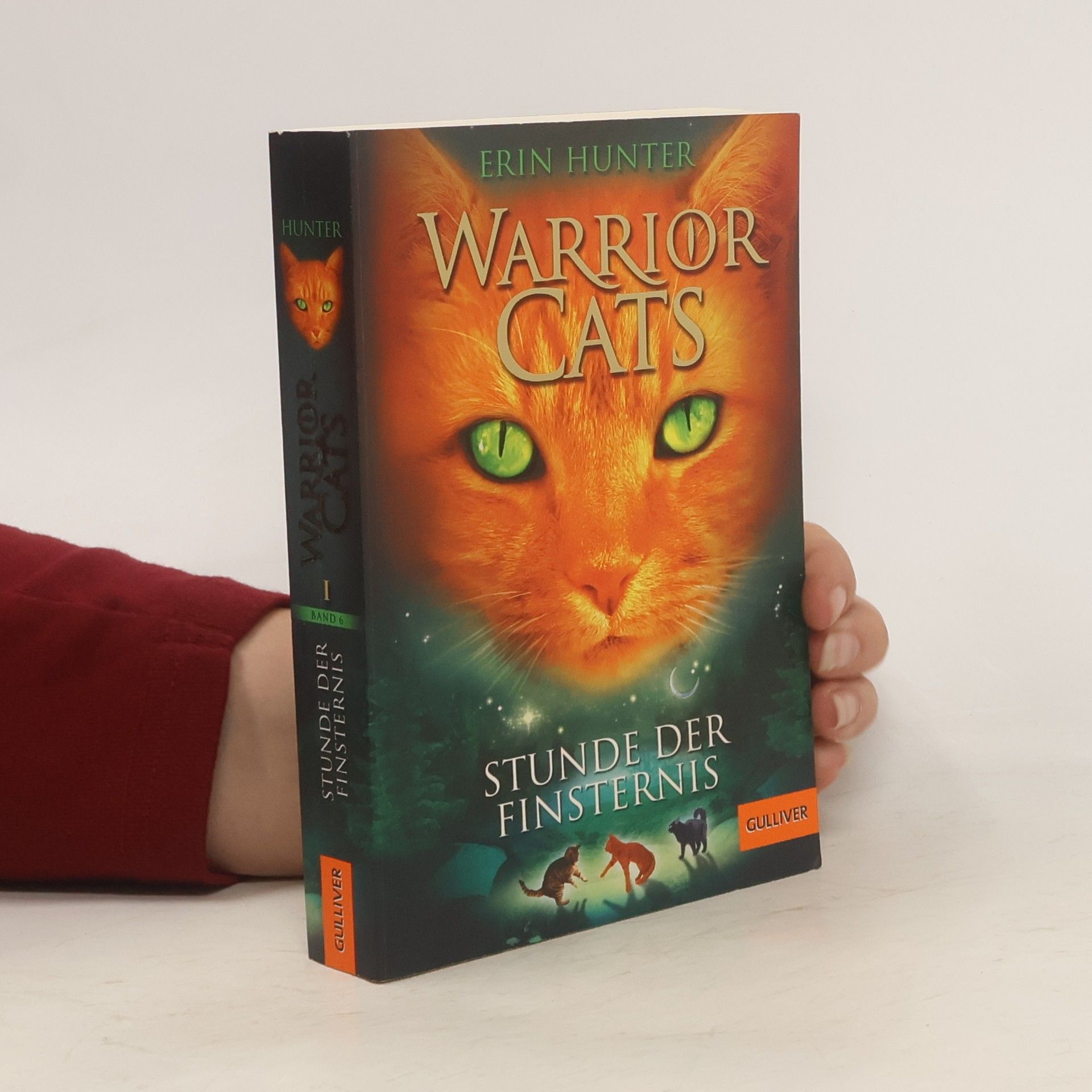 Erin Hunter Stunde der Finsternis