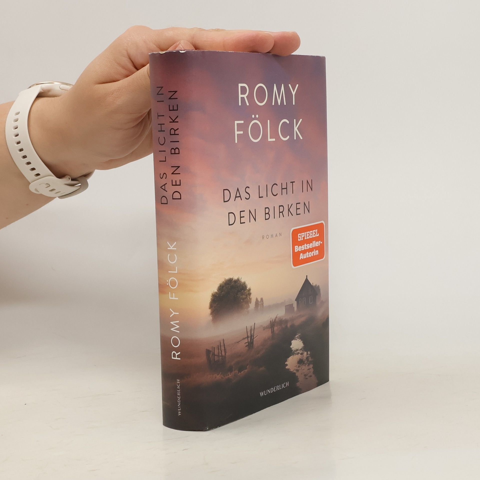Romy Fölck Das Licht in den Birken