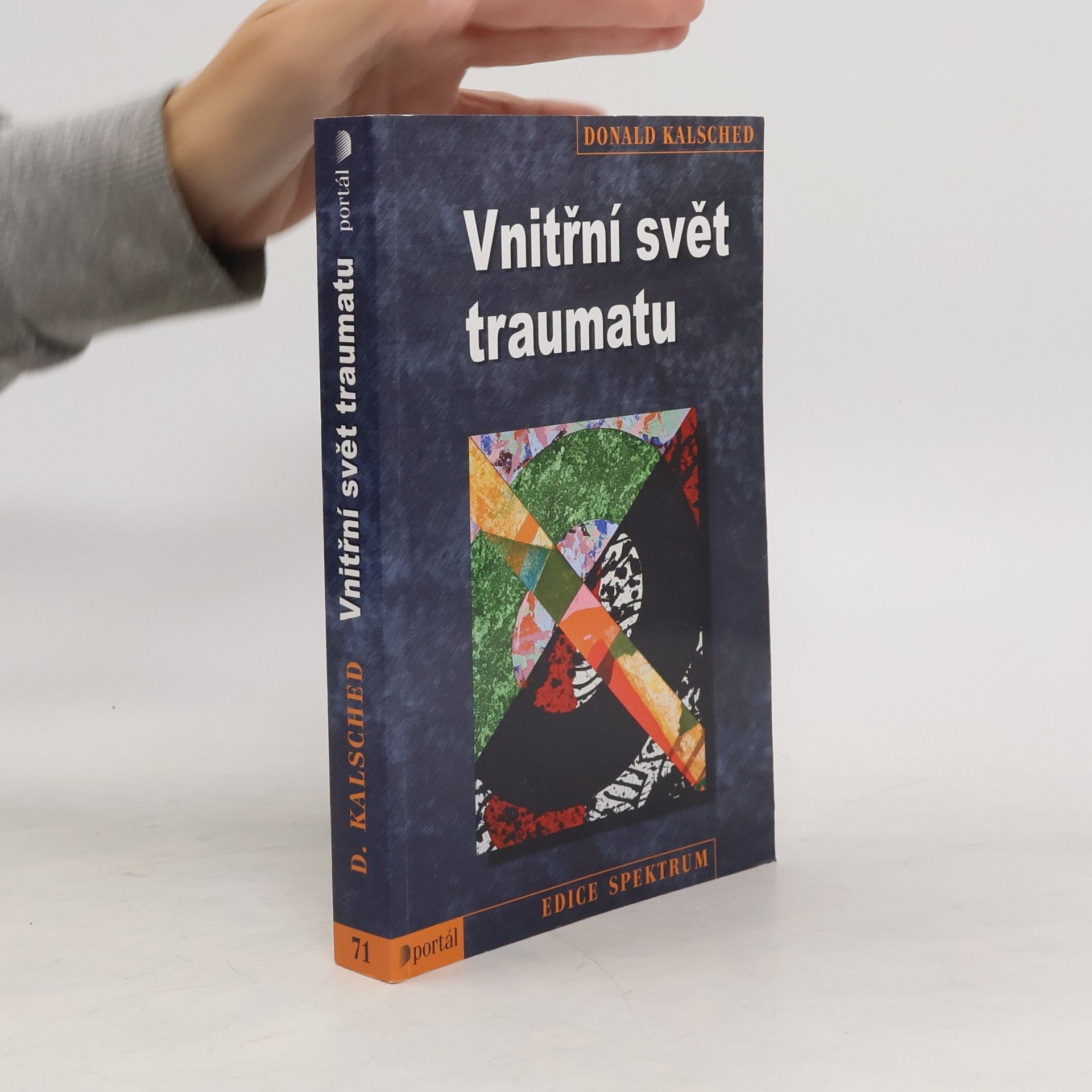 Donald Kalsched Vnitřní svět traumatu