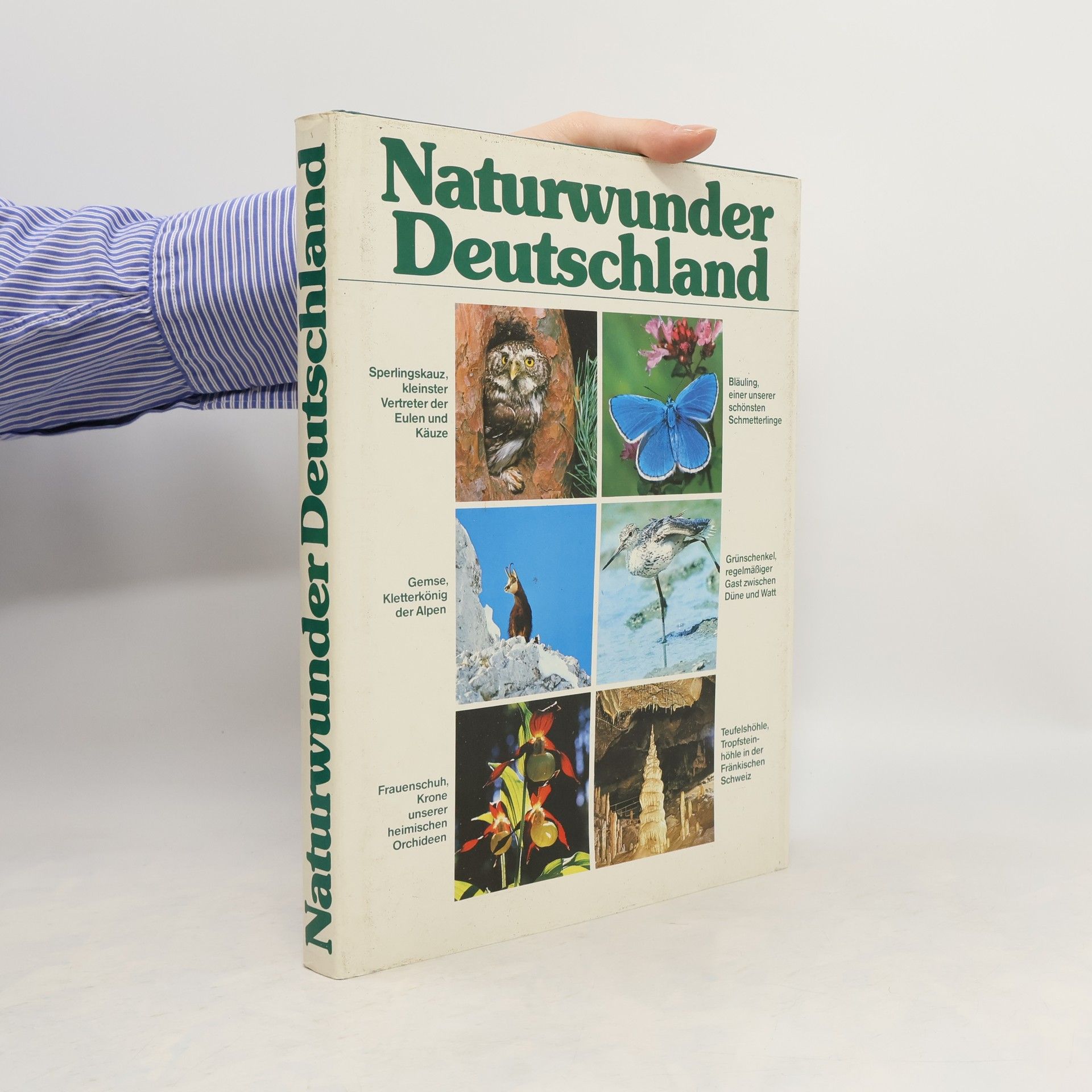 Collectif d'auteurs Naturwunder Deutschland