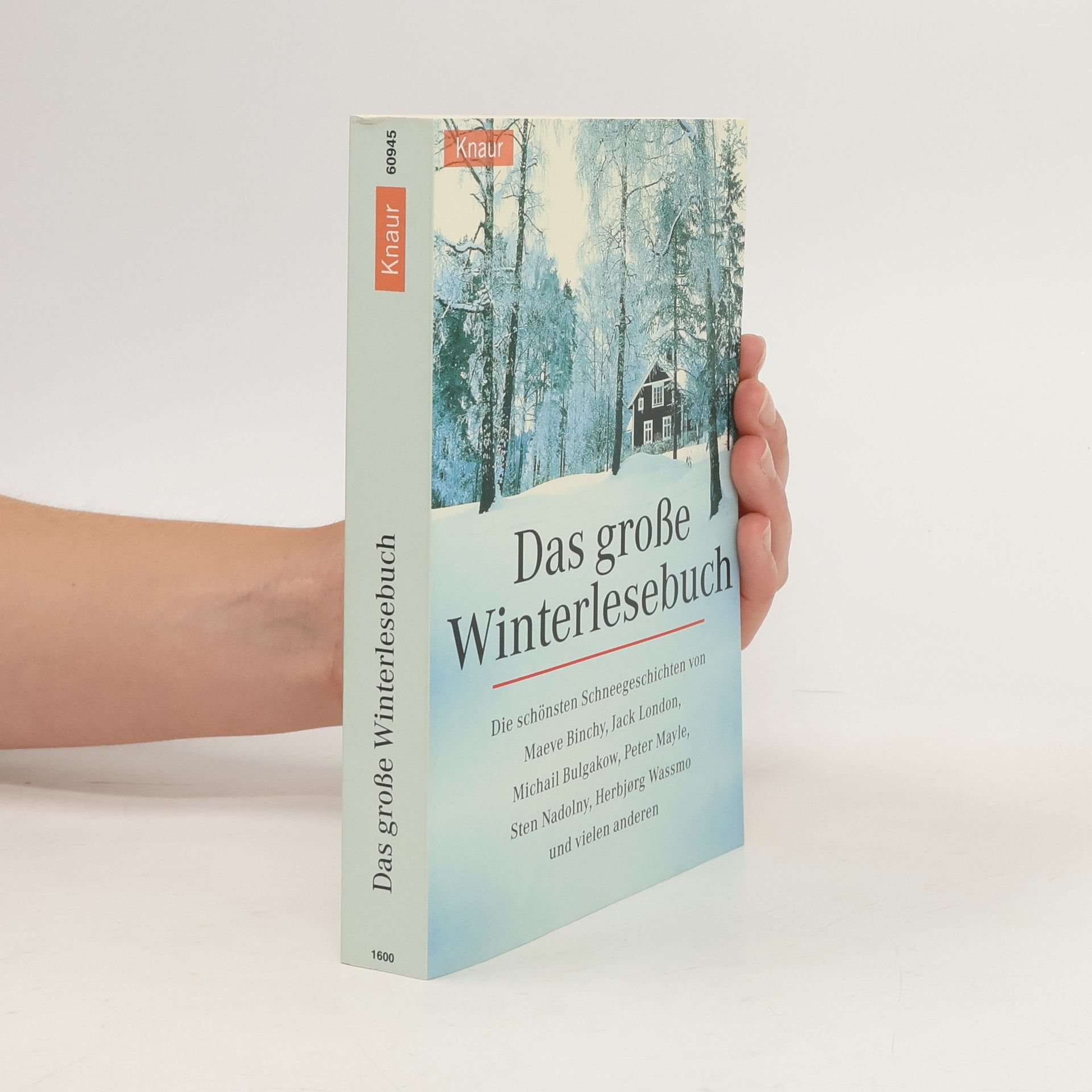 Holger Wolandt Das große Winter-Lesebuch