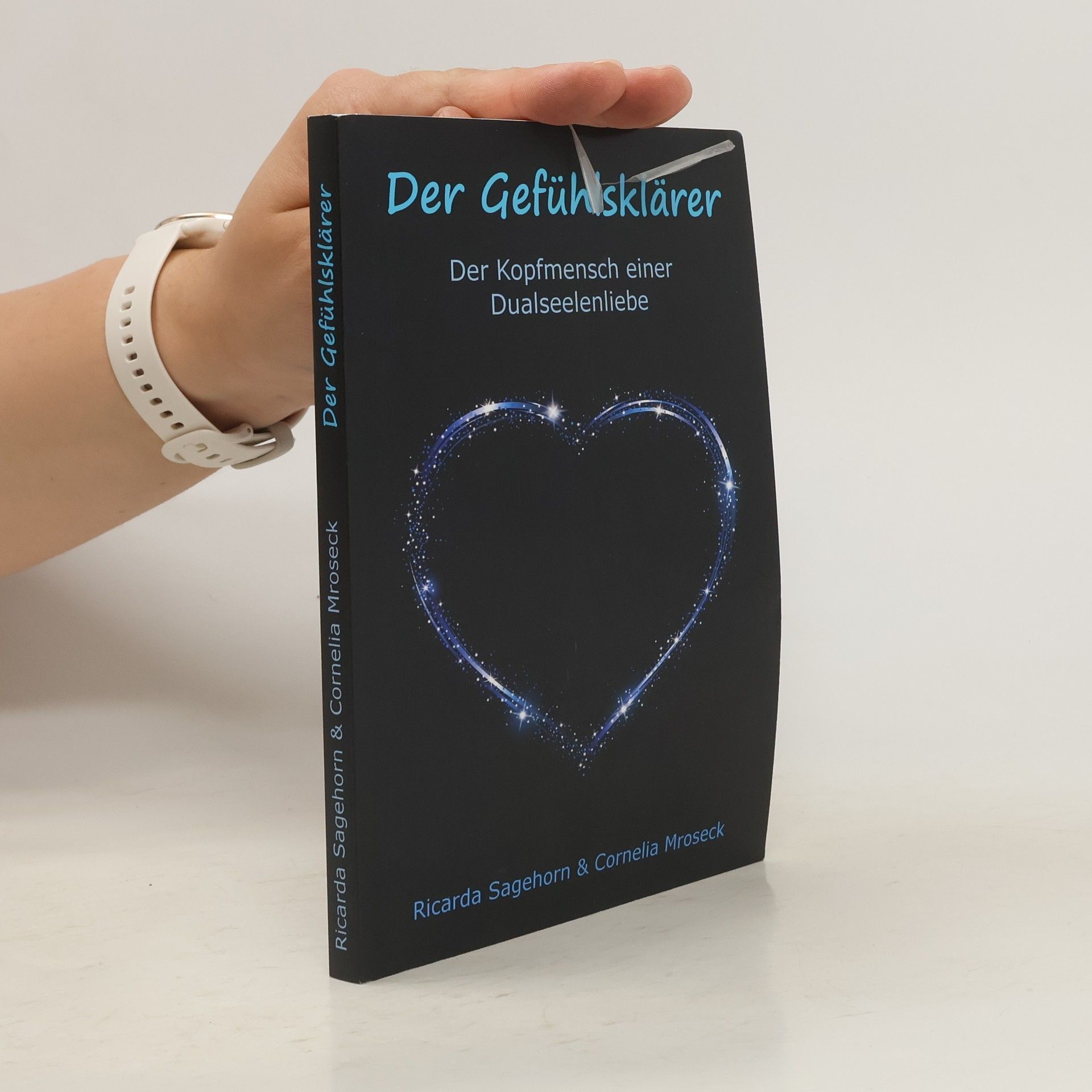 Ricarda Sagehorn Der Gefühlsklärer
