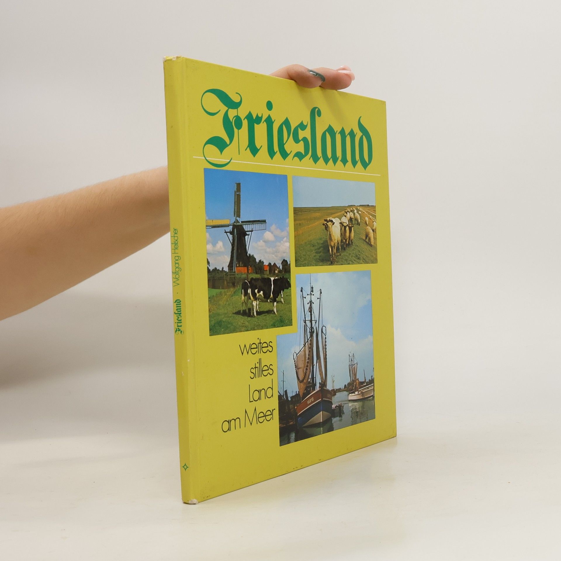 Wolfgang Heilscher Friesland weites stilles Land am Meer