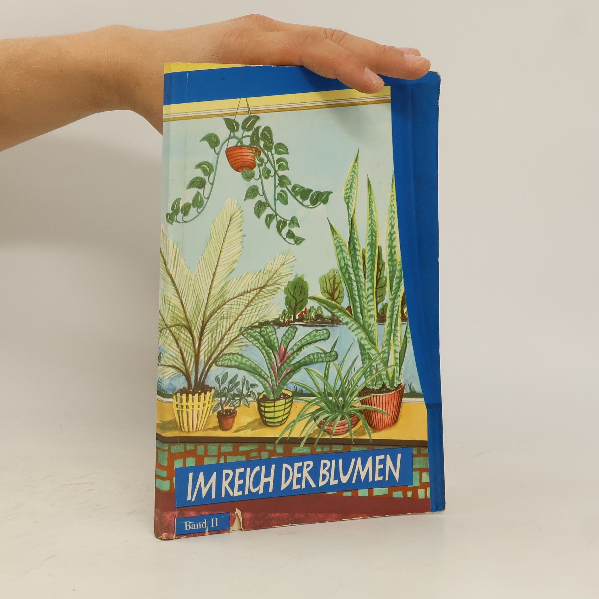 AA.VV. Im Reich der Blumen - Band II