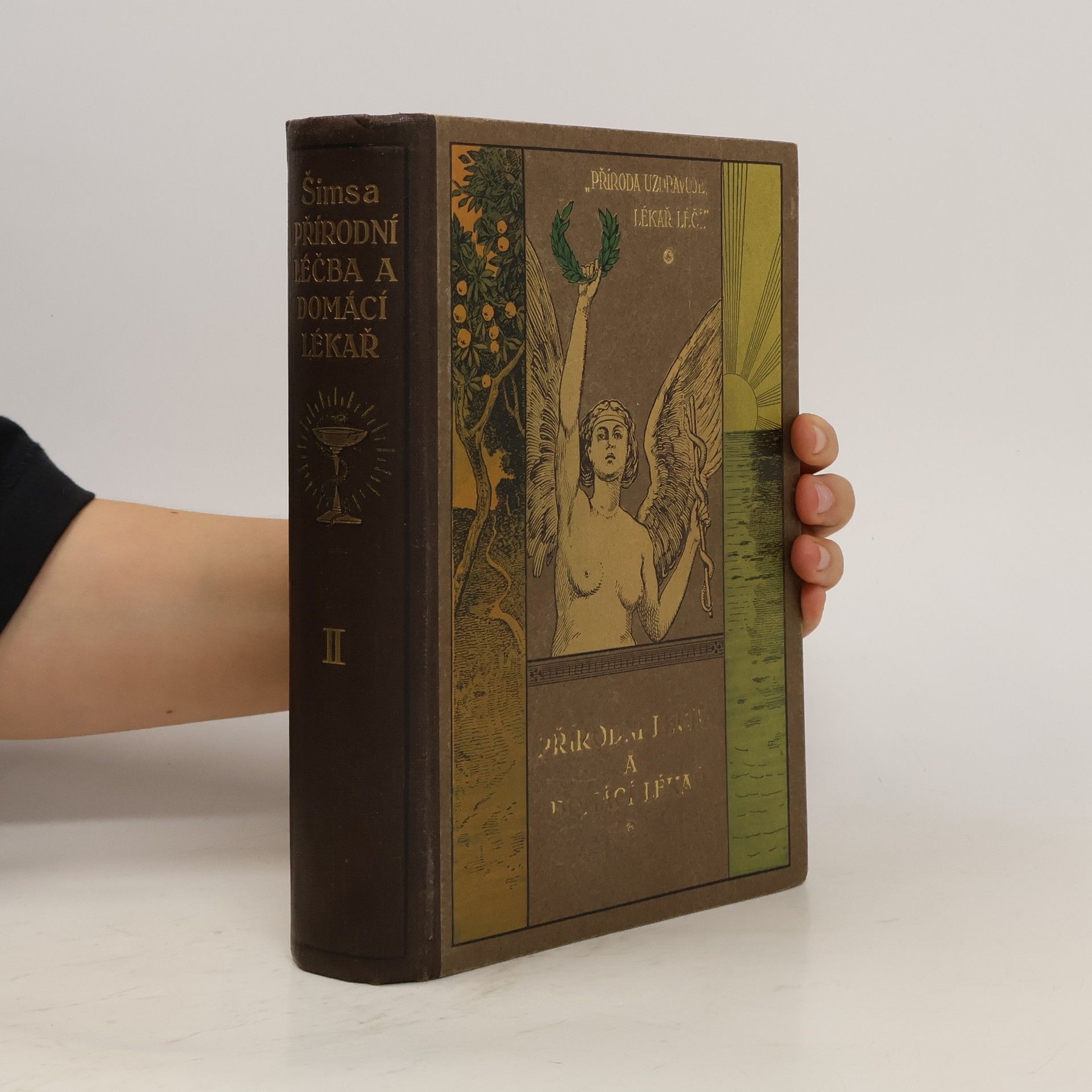 Collectif d'auteurs Přírodní léčba a domácí lékař II.