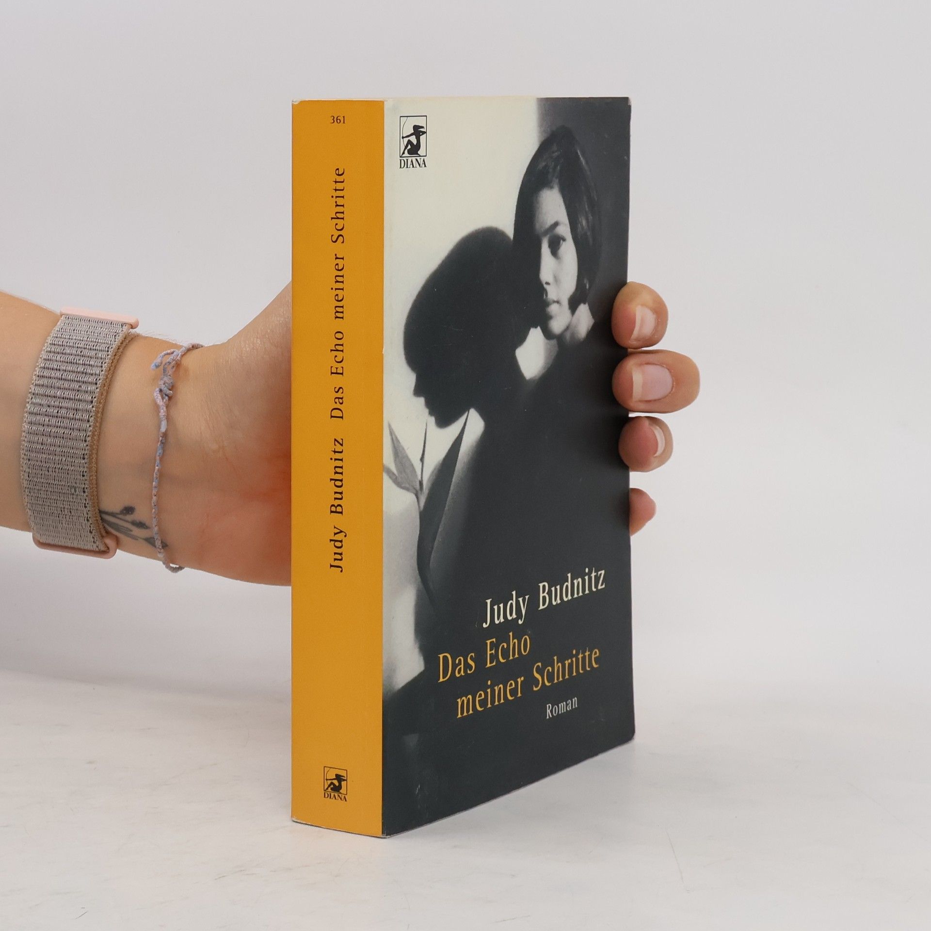 Judy Budnitz Das Echo meiner Schritte