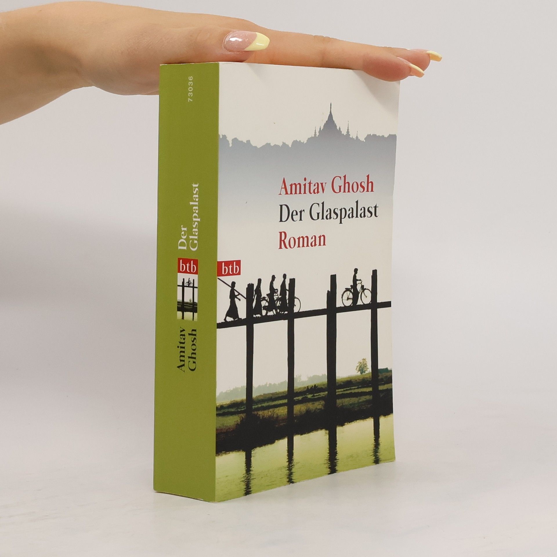 Amitav Ghosh Der Glaspalast