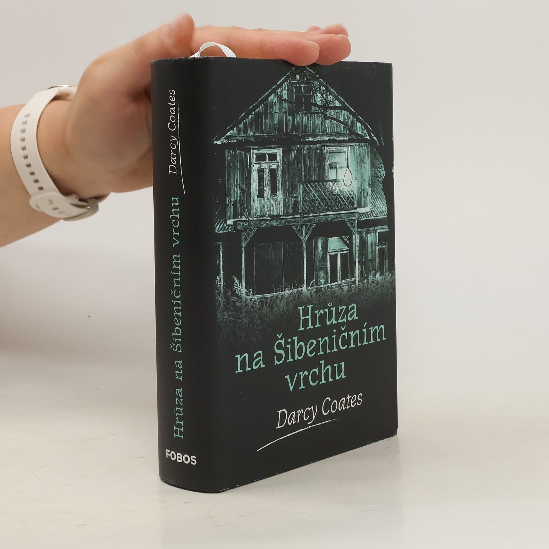 Darcy Coates Hrůza na Šibeničním vrchu