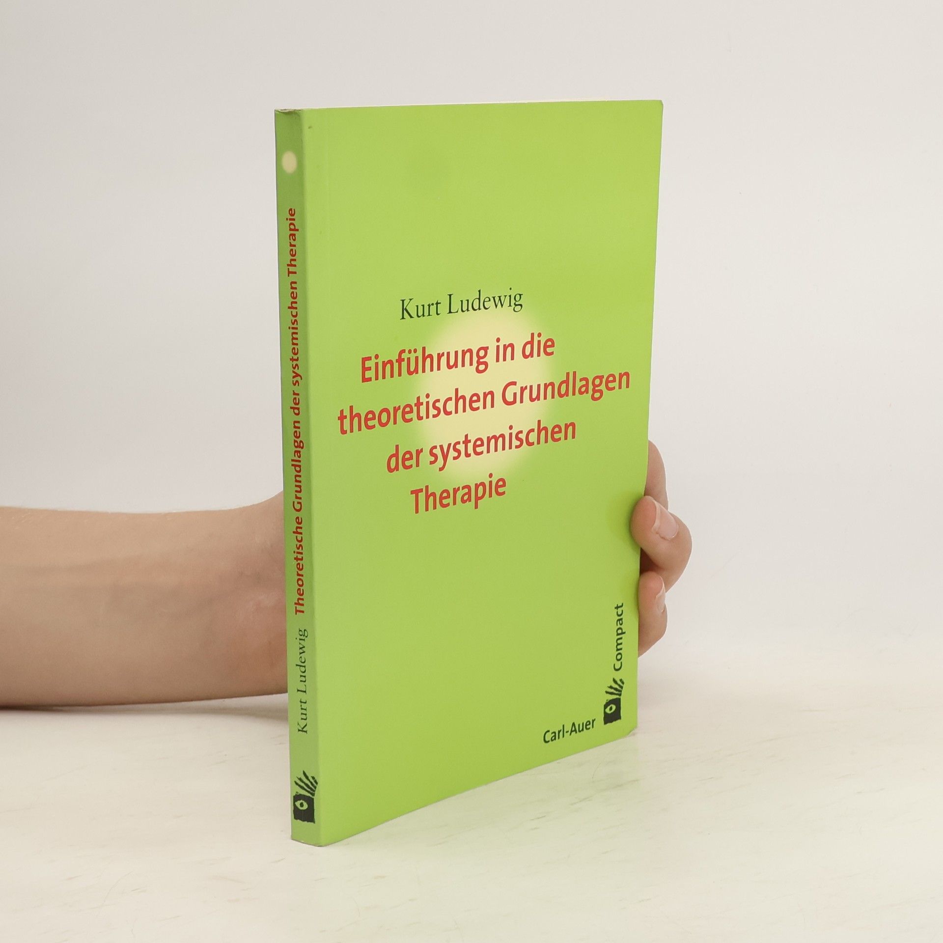 Kurt Ludewig Einführung in die theoretischen Grundlagen der systemischen Therapie
