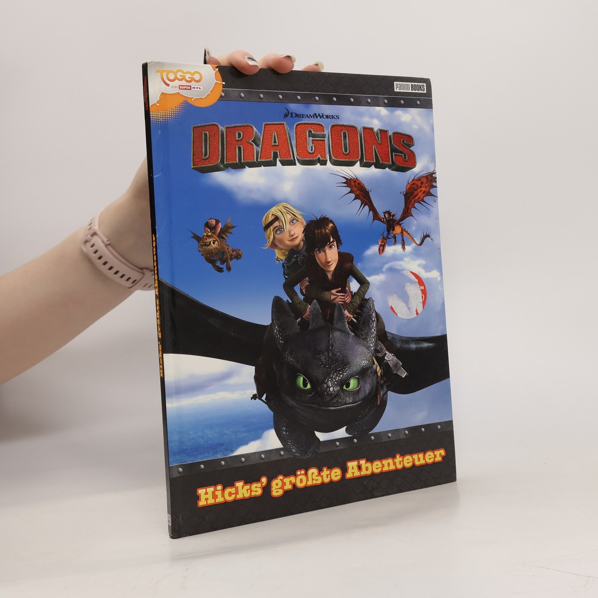 Marisa Reinelt Dragons - Hicks' größte Abenteuer