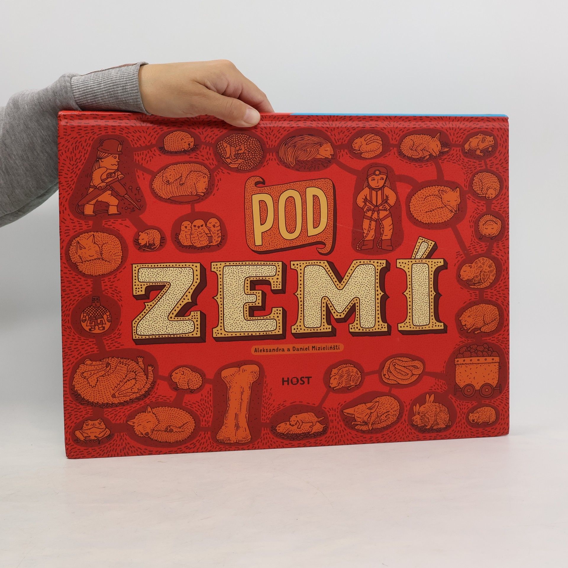Aleksandra Mizielińska Pod zemí. Pod vodou