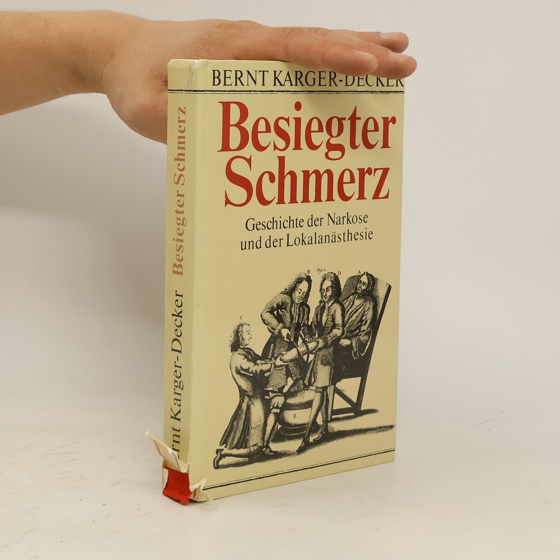 Bernt Karger Decker Besiegter Schmerz