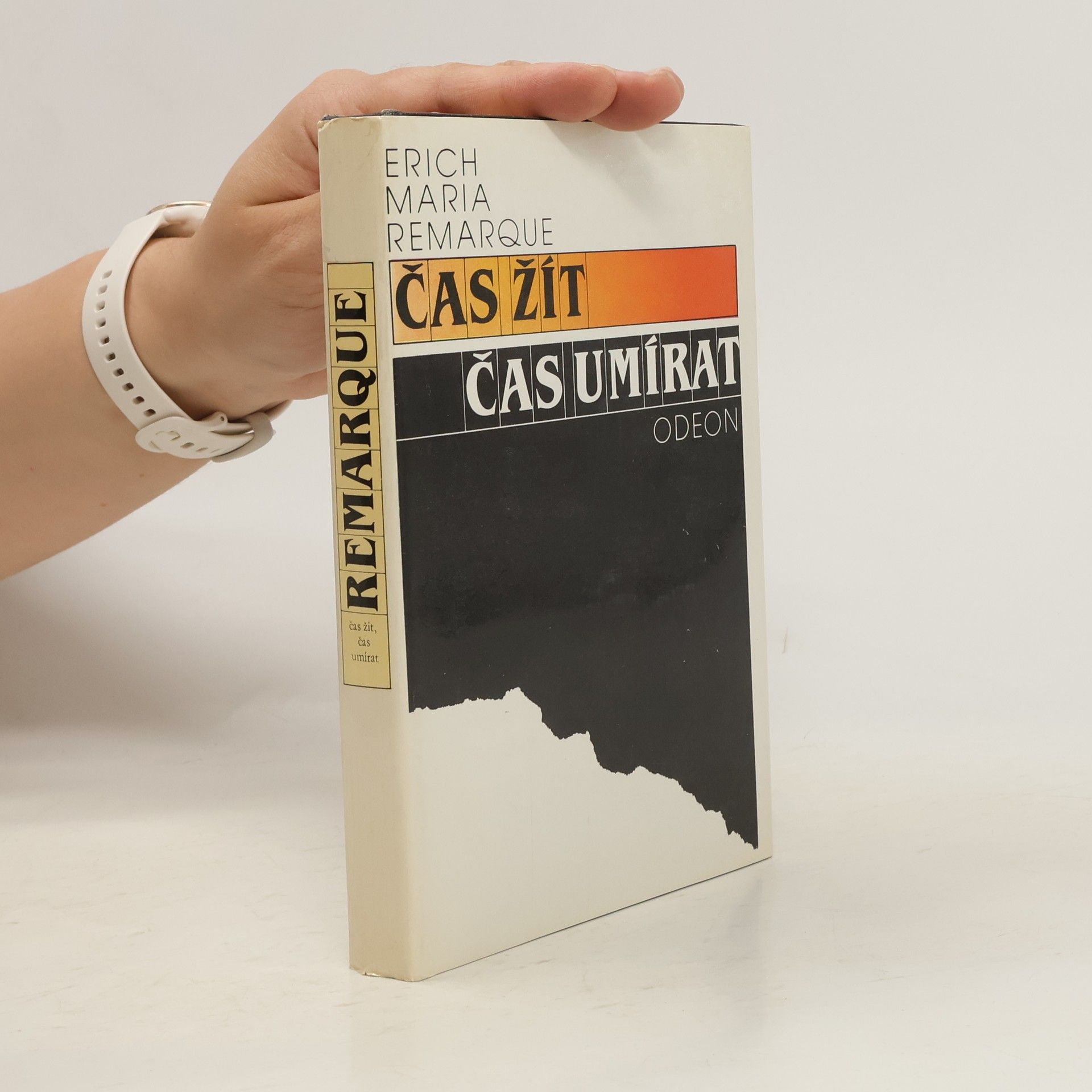 Erich Maria Remarque Čas žít, čas umírat