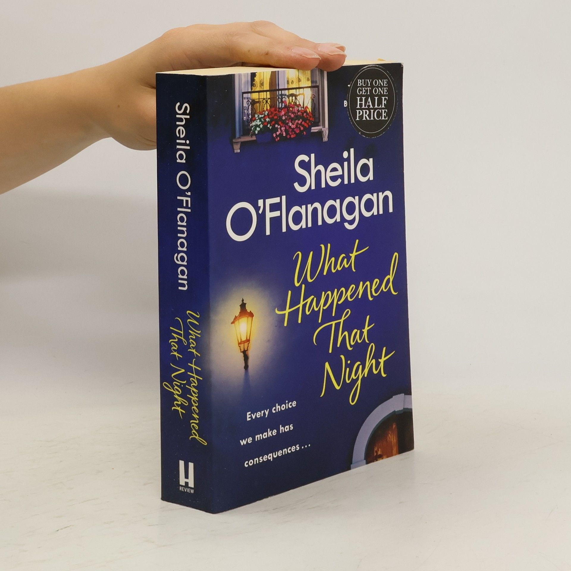Sheila O’Flanagan What Happend That Night
