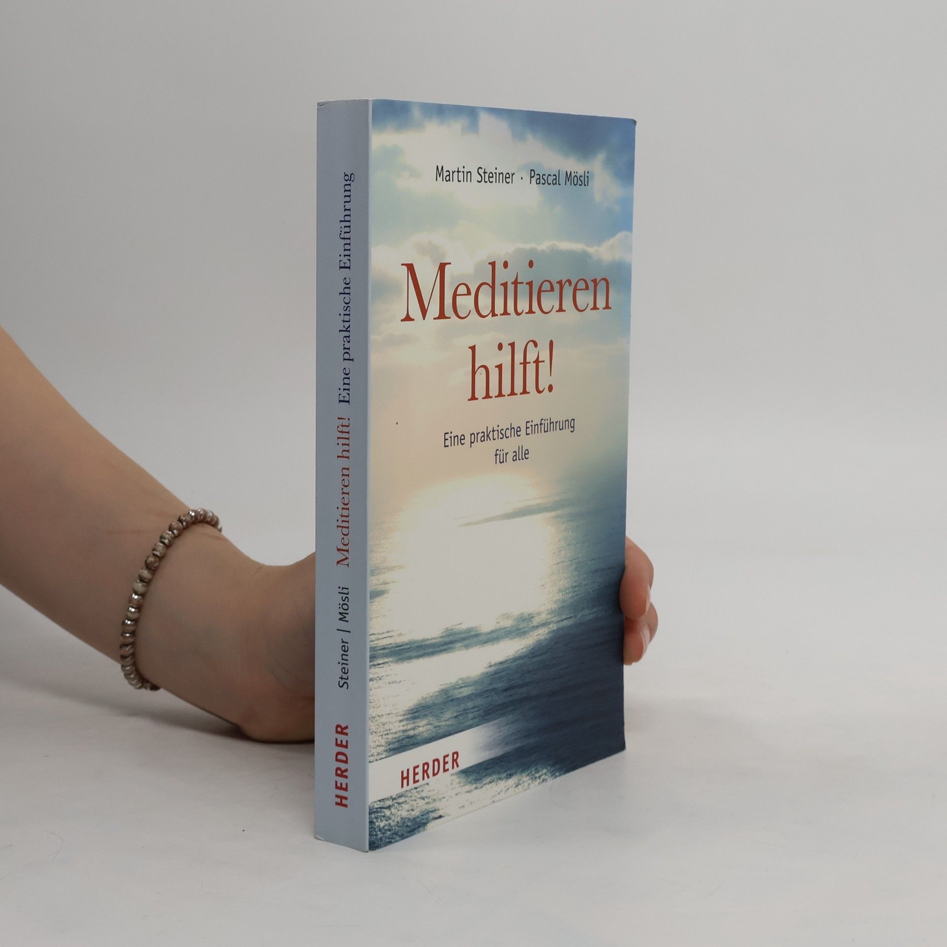 Martin Steiner-Wedenig Meditieren hilft