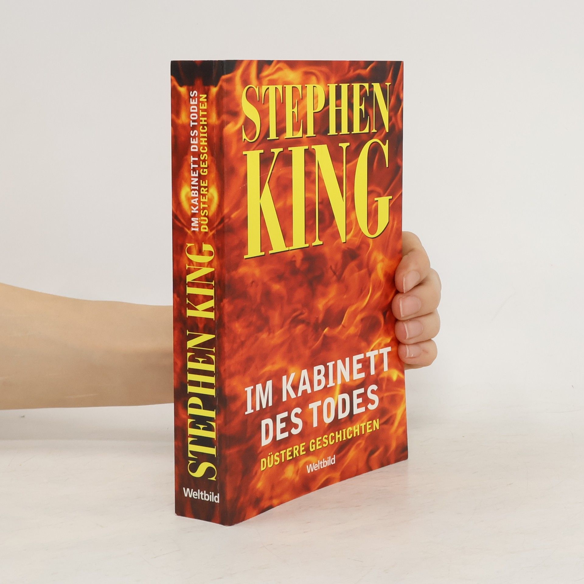 Stephen King Im Kabinett des Todes