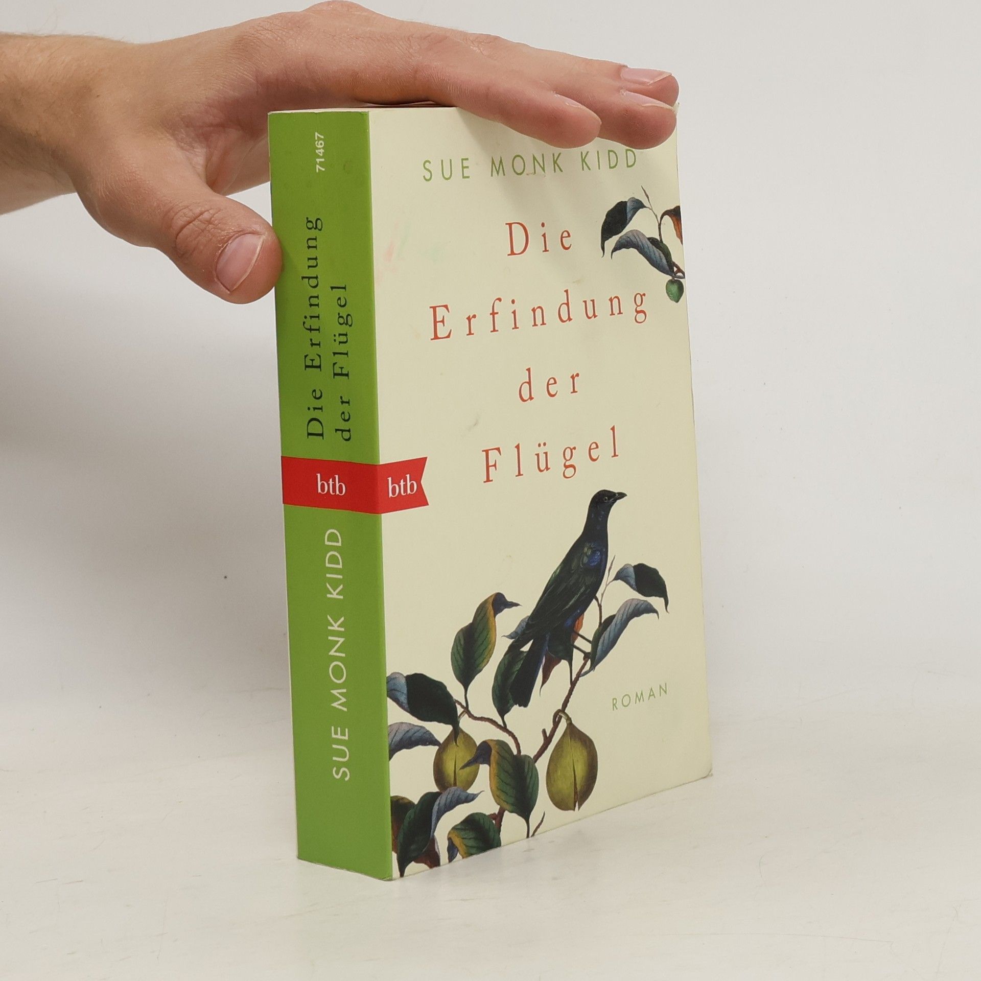 Sue Monk Kidd Die Erfindung der Flügel