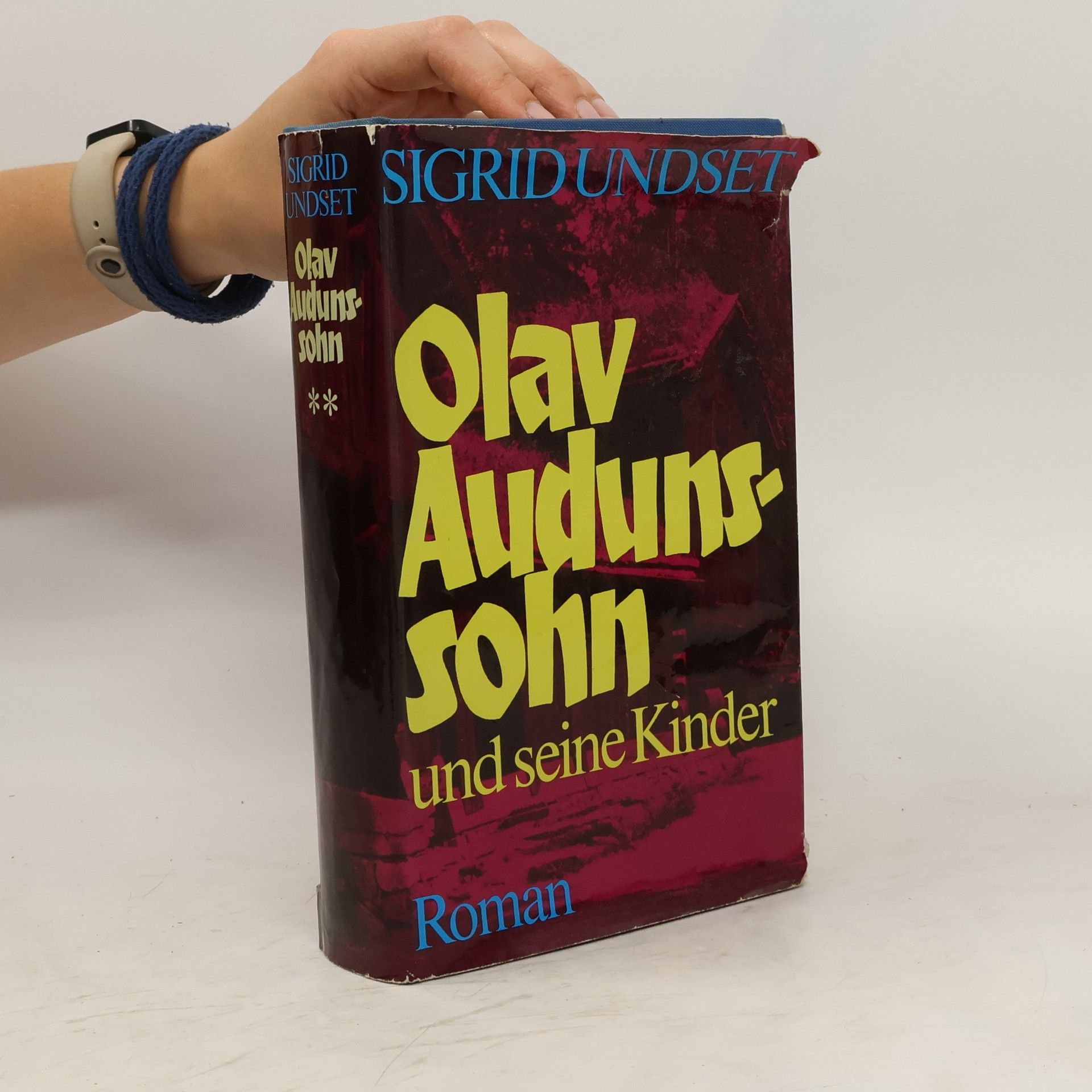 Sigrid Undsetová Olav Audunssohn und seine Kinder