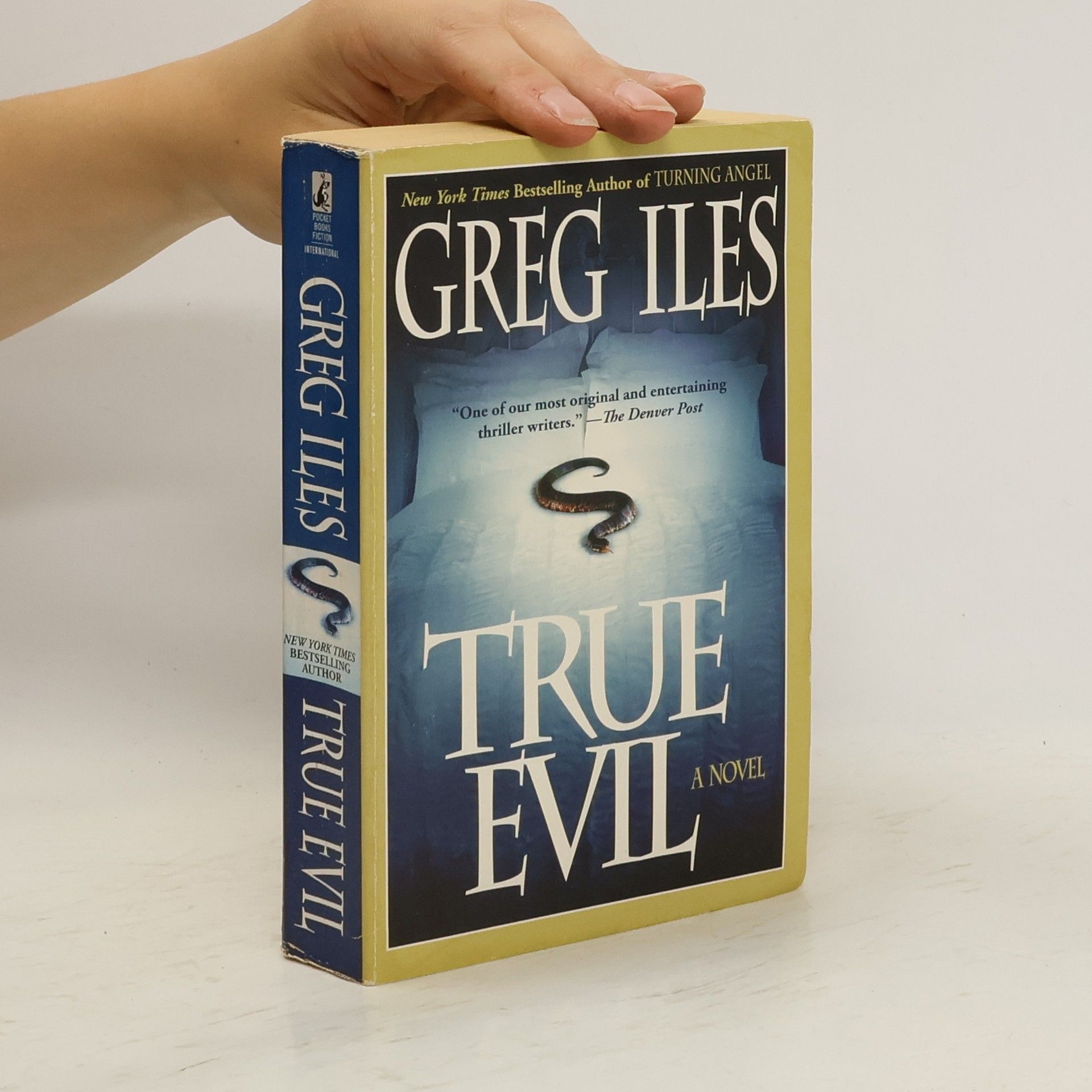 Greg Iles True Evil