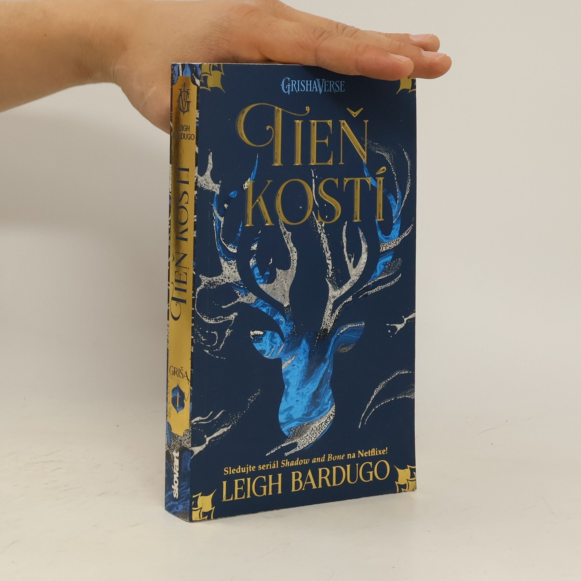 Leigh Bardugo Tieň kostí