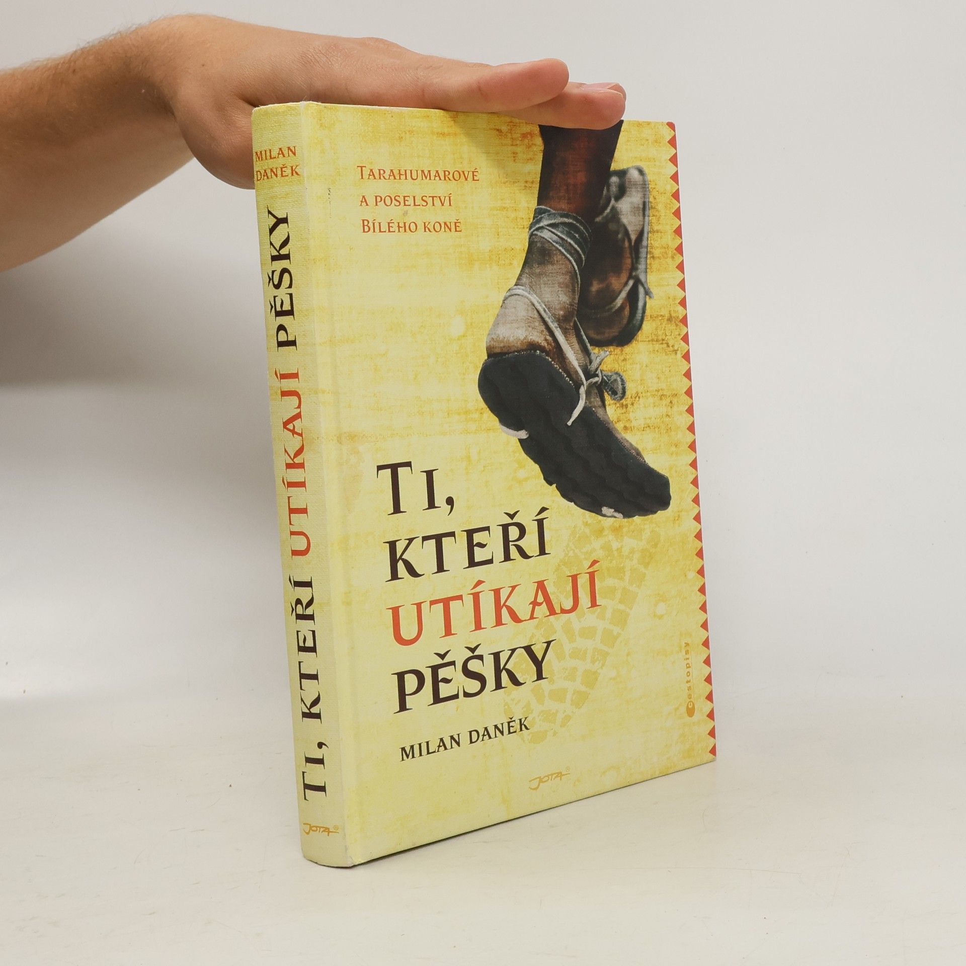 Milan Daněk Ti, kteří utíkají pěšky