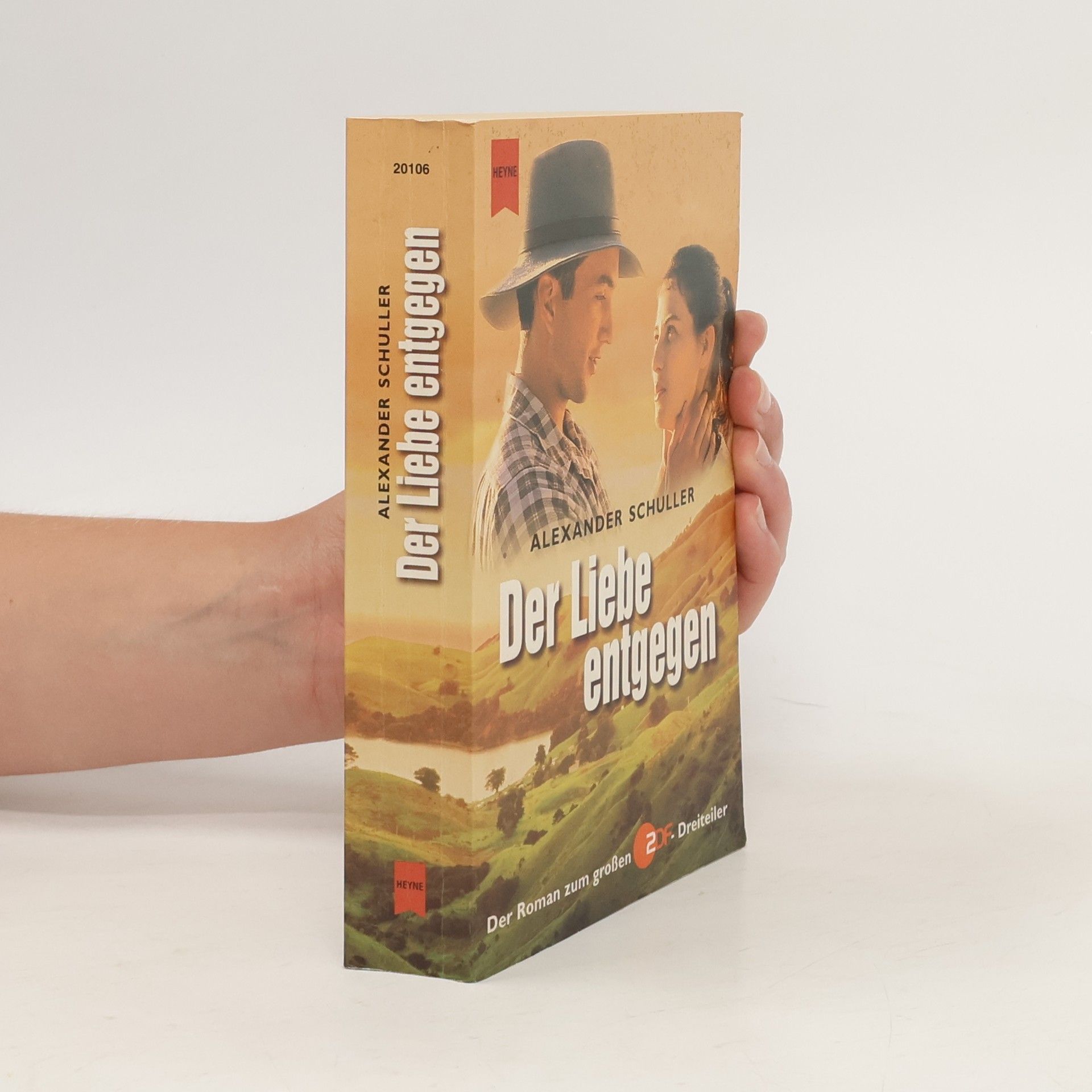 Alexander Schuller Der Liebe entgegen
