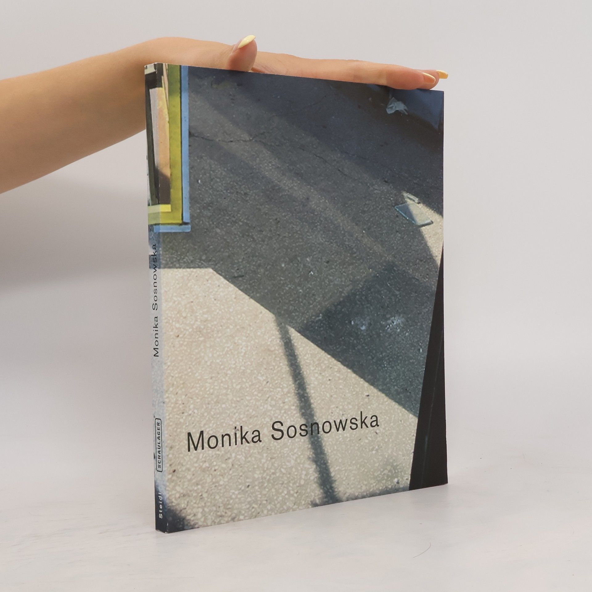 Theodora Vischer Monika Sosnowska