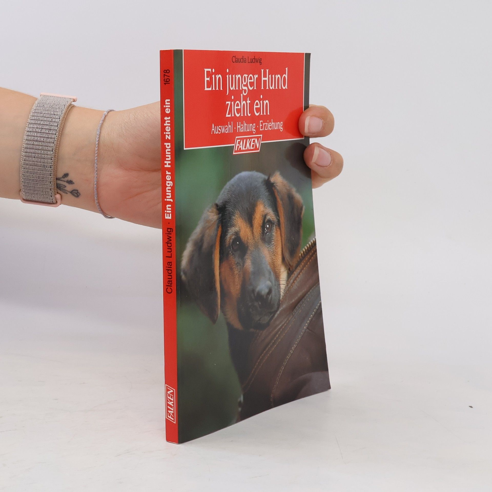 Claudia Ludwig Ein junger Hund zieht ein