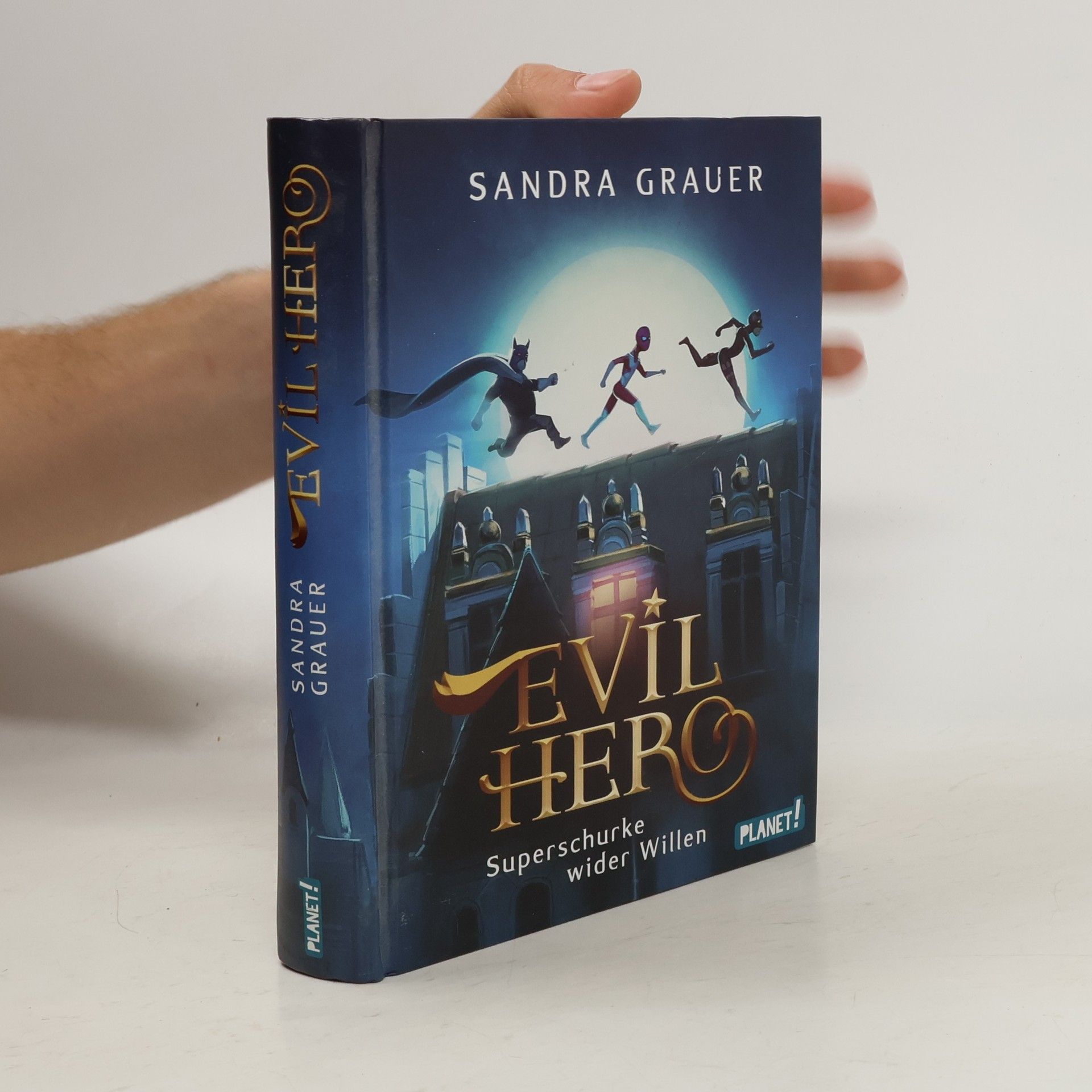 Sandra Grauer Evil hero - Superschurke wider Willen