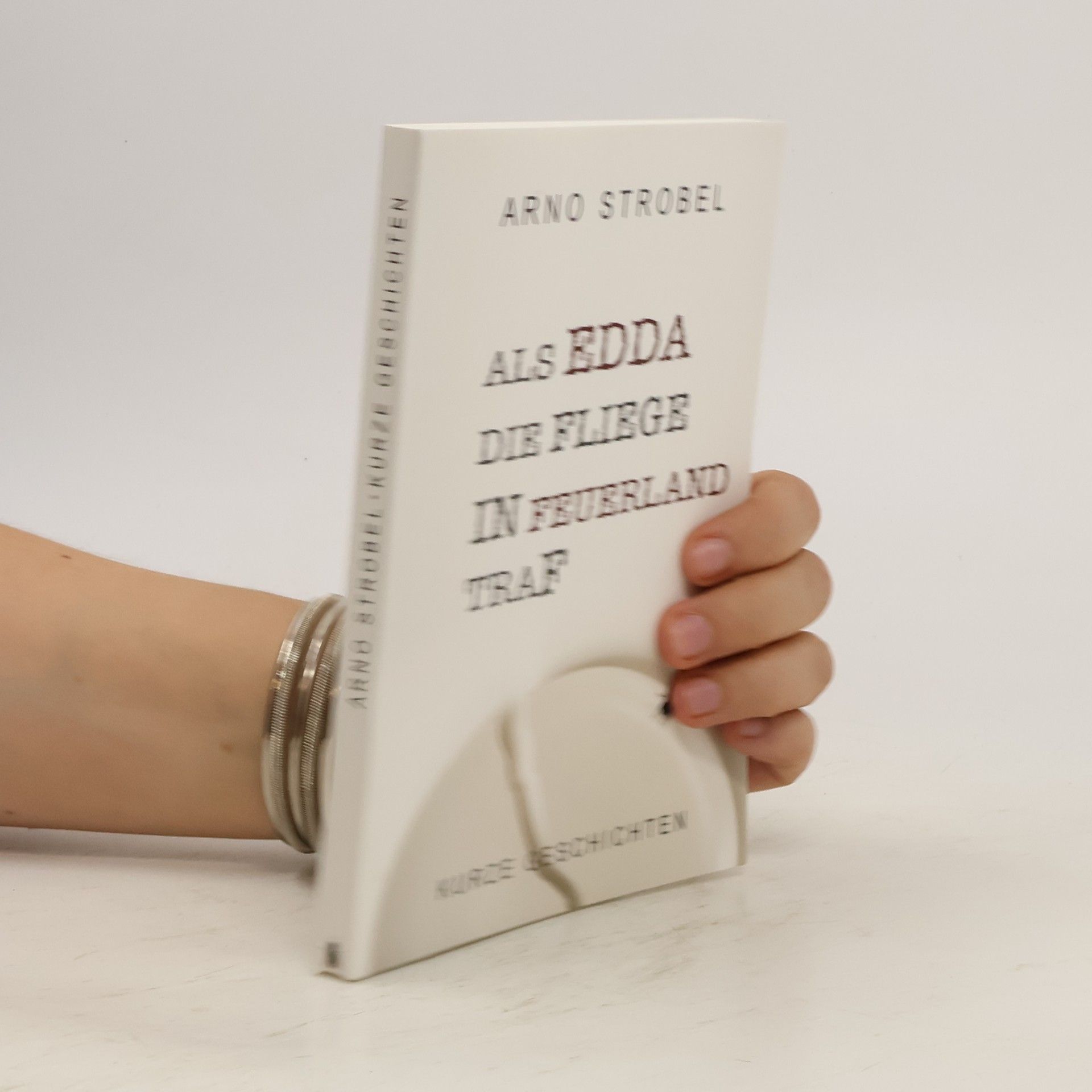 Arno Strobel Als edda die fliege in feuerland traf