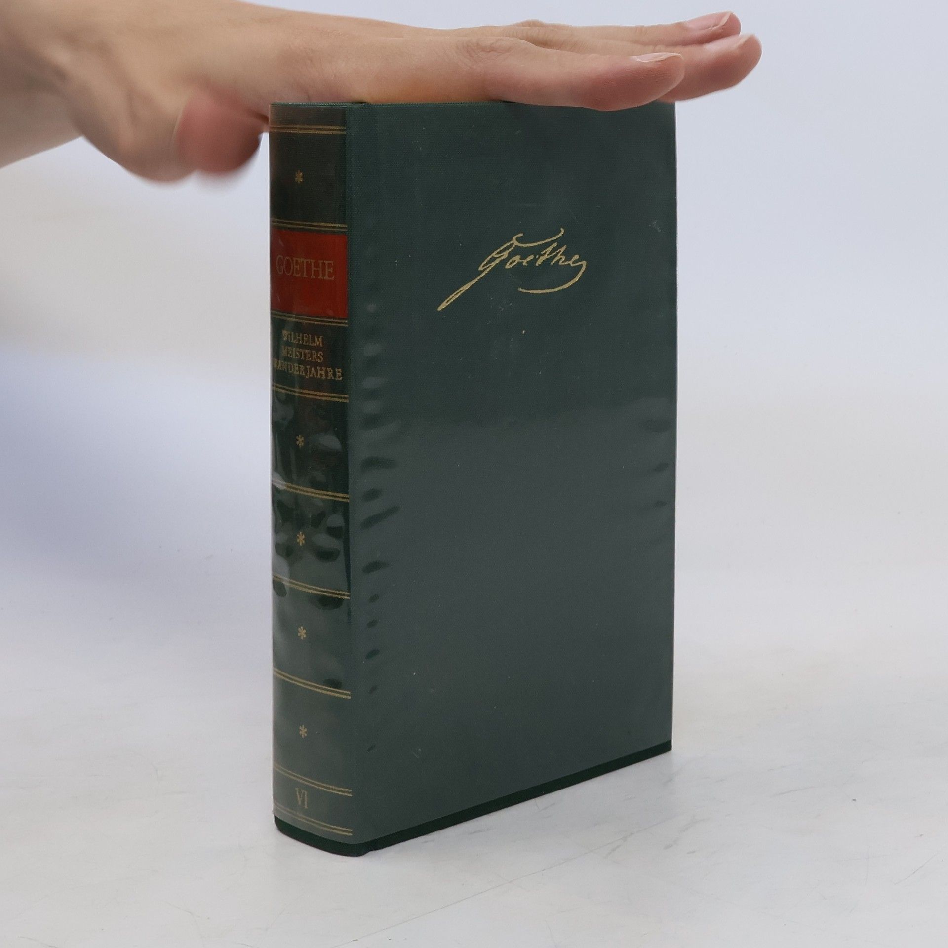 Johann Wolfgang von Goethe Wilhelm Meisters Wanderjahre VI. Maximen und Reflexionen